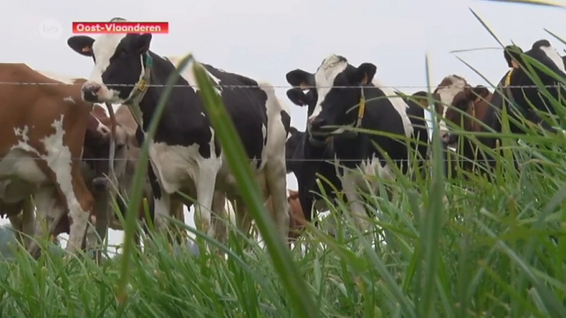 Provincie versoepelt droogtemaatregelen vooral om de boeren te helpen