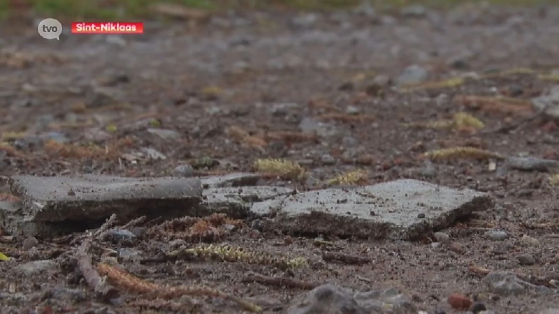 Hoofdafbeelding voor artikel Schauvliege bezegelt lot van…