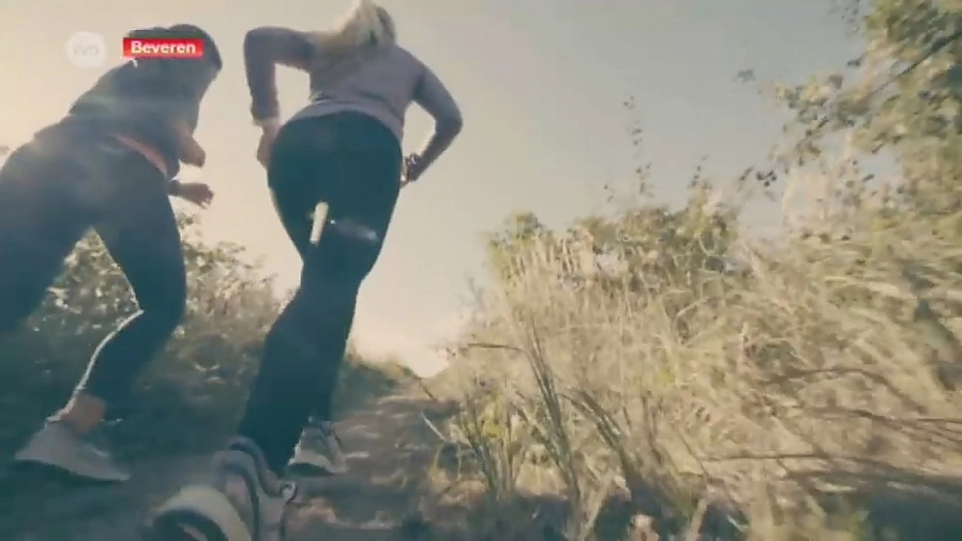 De 'Havenland Run & Walk': Een looptocht door en rond de Waaslandhaven