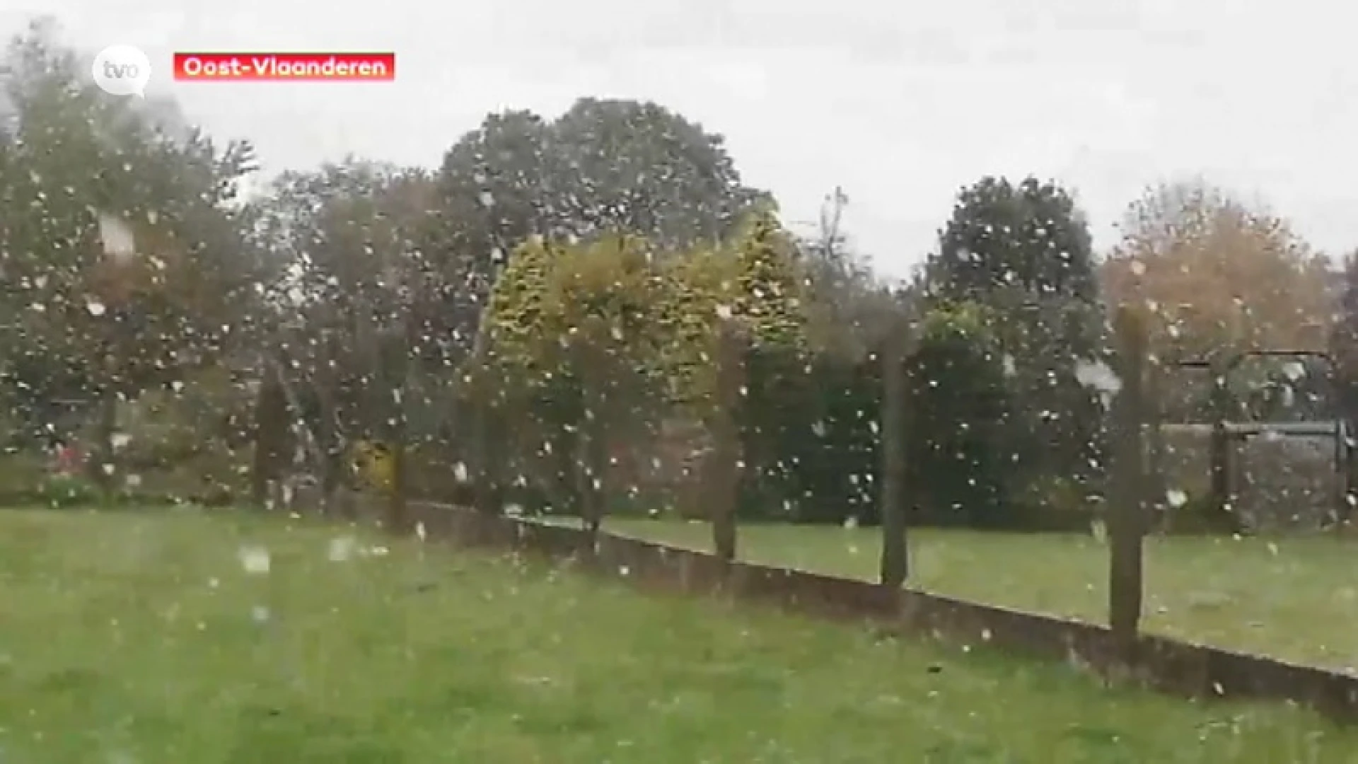 Hoofdafbeelding voor artikel Herfst stevig ingezet: Eerste…