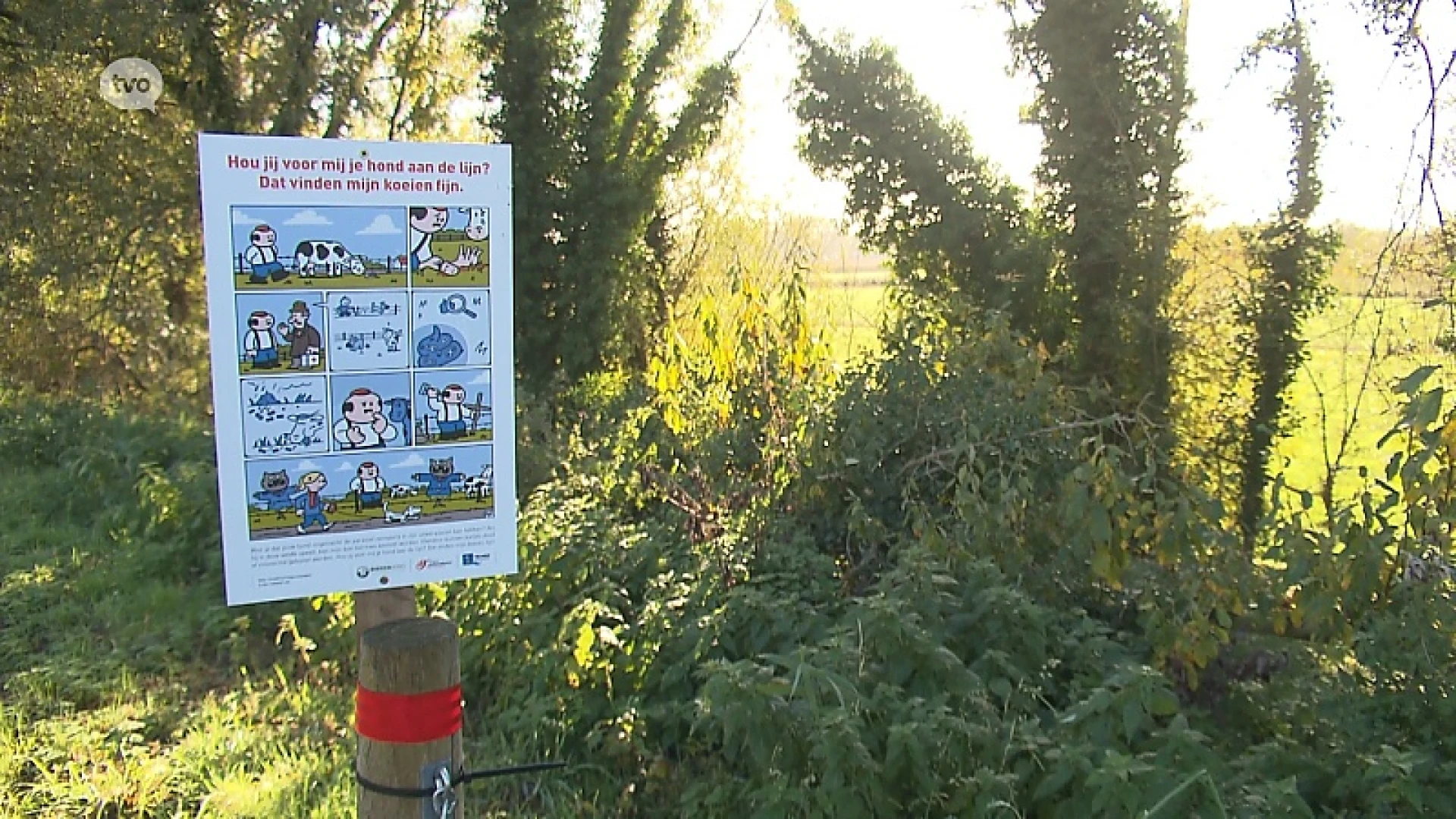 Hoofdafbeelding voor artikel Plattelandspret: Afl. 23 2018