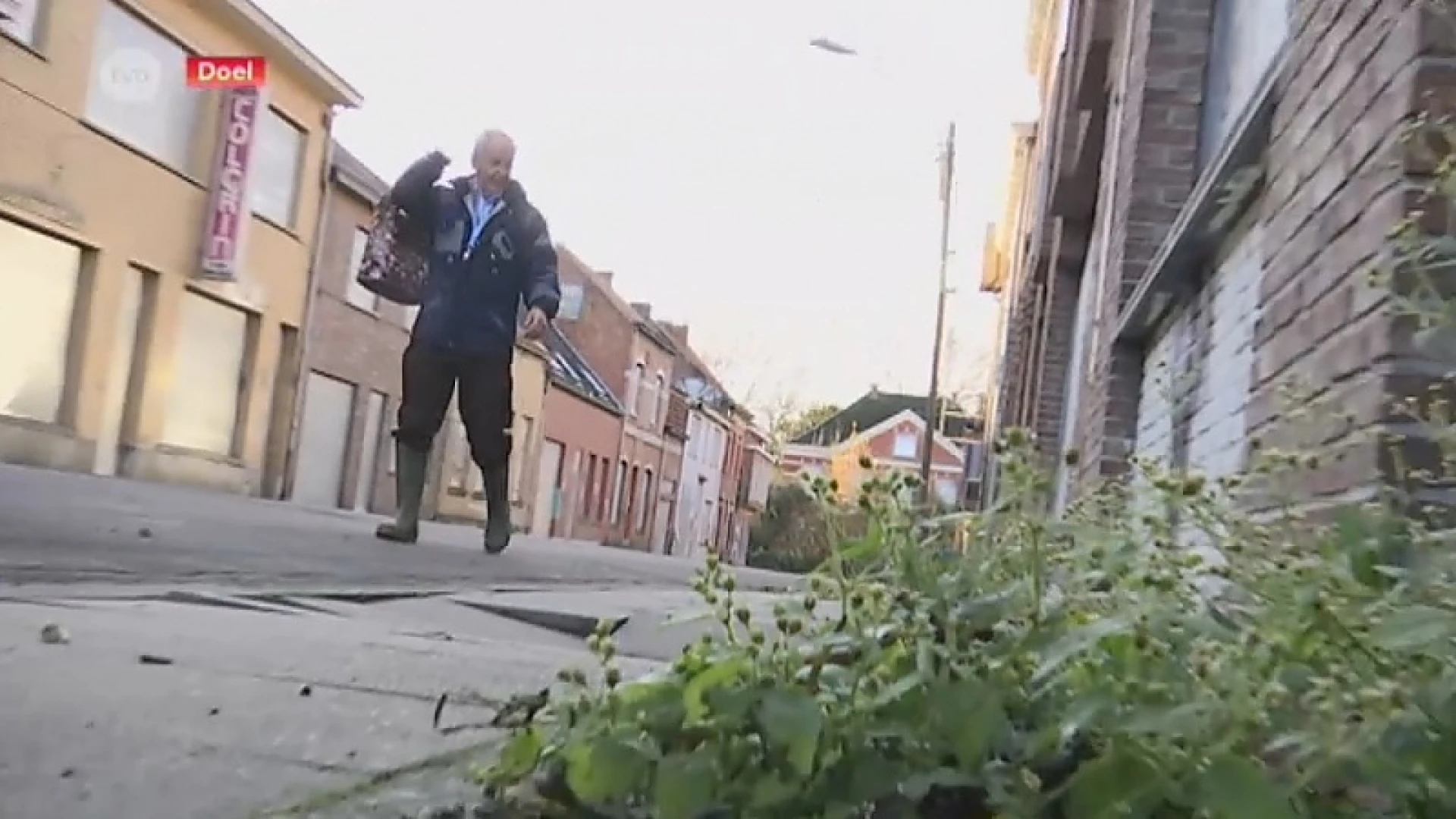 Doel is verre van doods: Planten gedijen er fantastisch goed