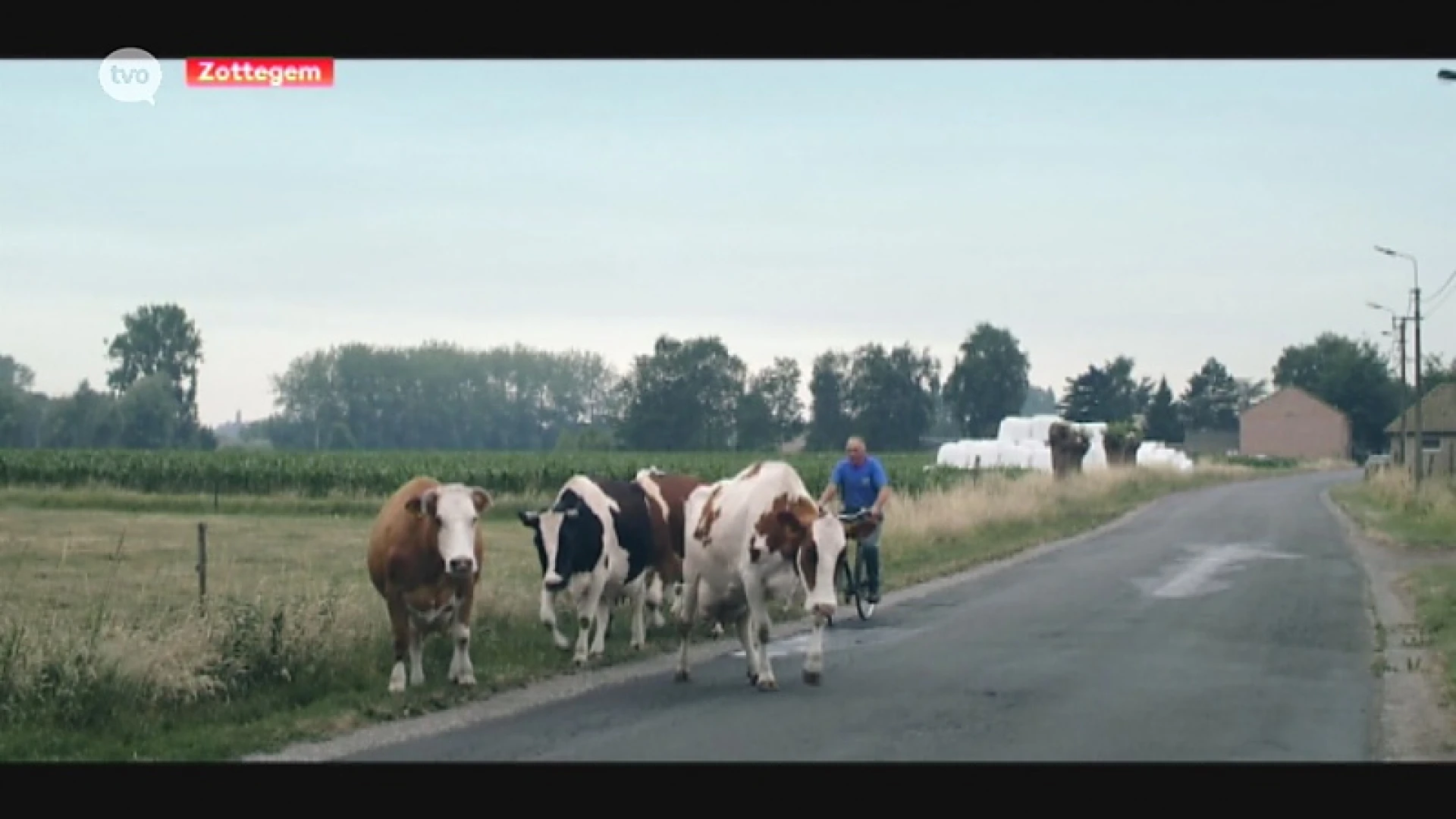 Landbouwdocumentaire 'Wat hebben we verdiend vandaag?' weldra in Gentse bioscoop