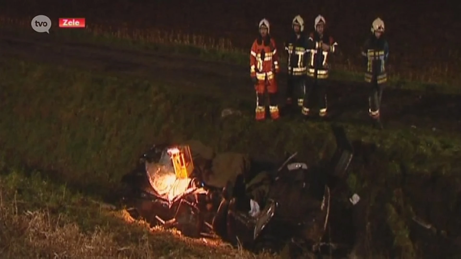 Hoofdafbeelding voor artikel Gevolgen van vuurwerk op dieren…