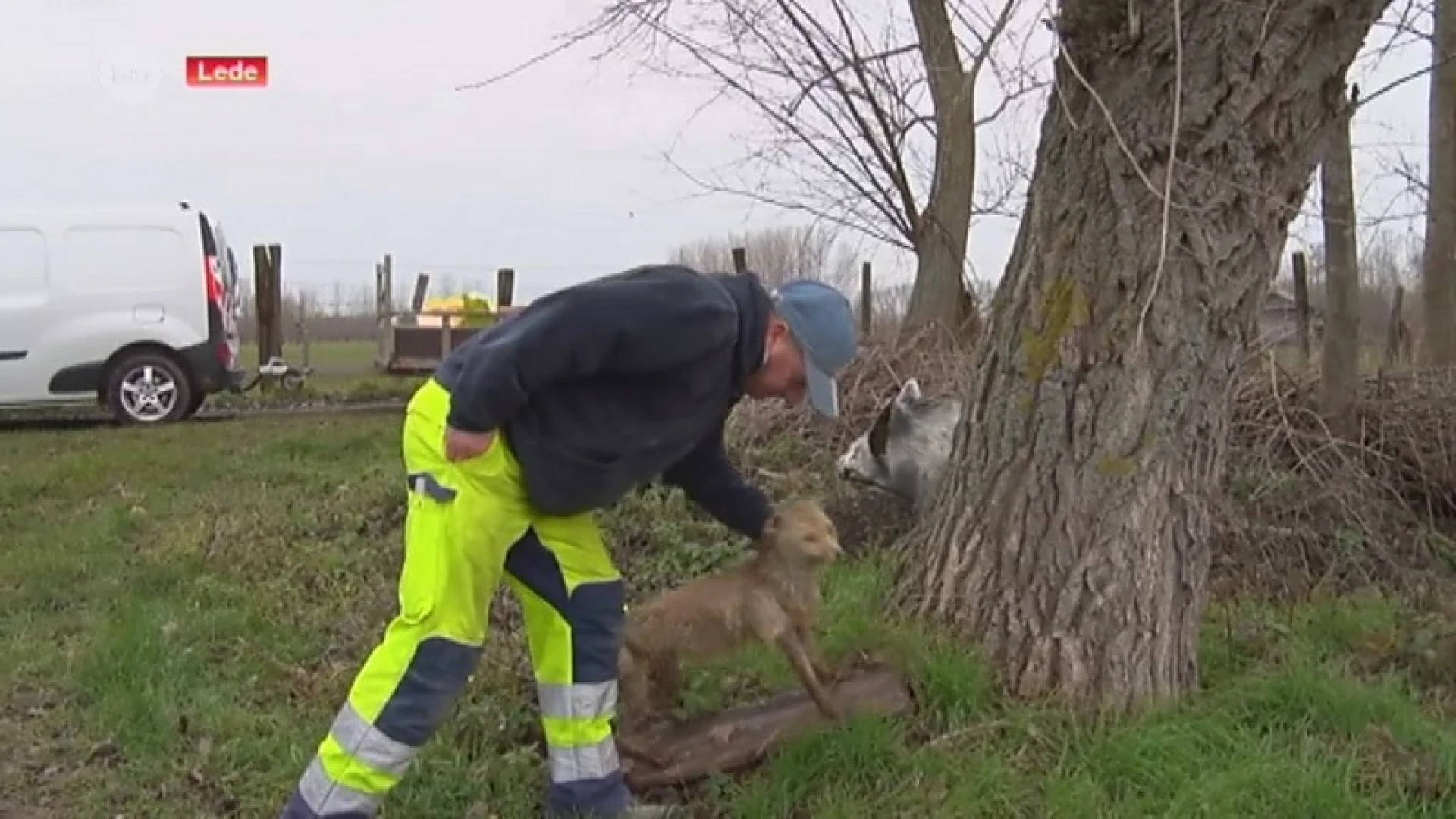 Sluikstorter dumpt hele inboedel in gracht, gemeente Lede plant extra maatregelen