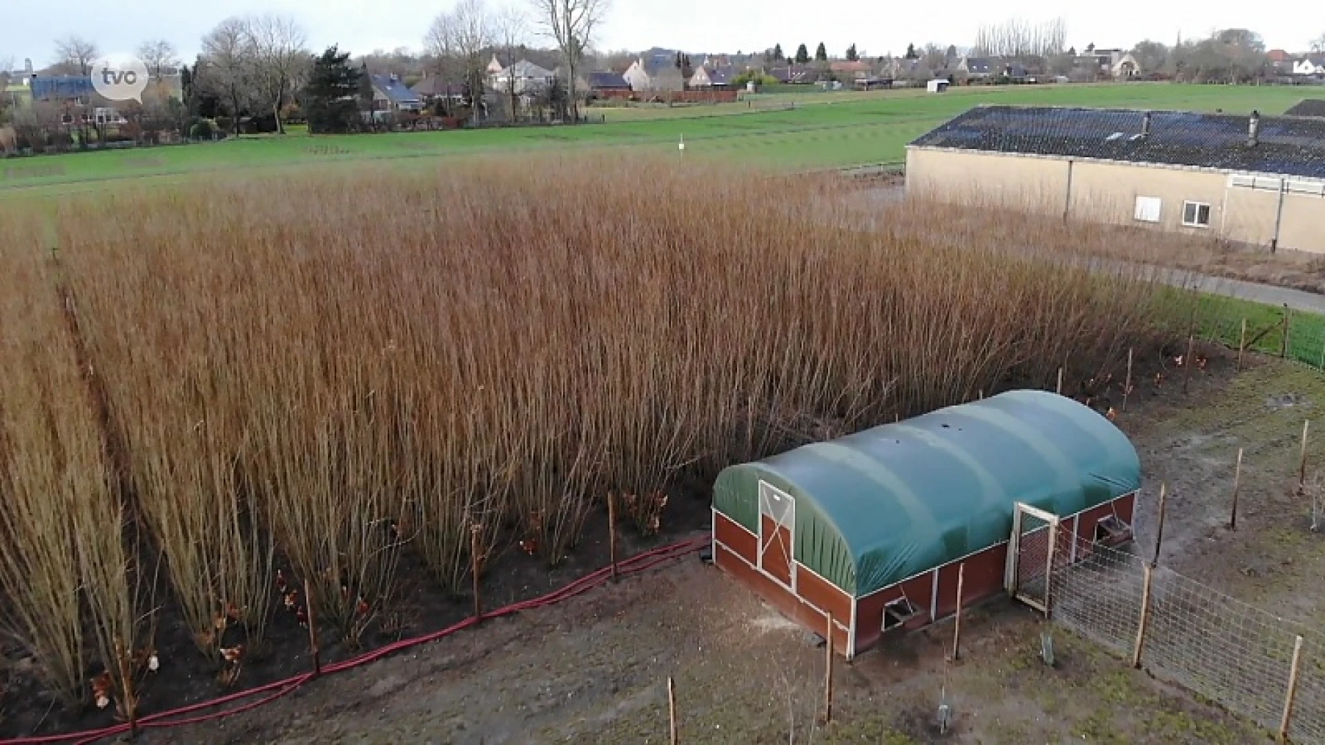 Hoofdafbeelding voor artikel Plattelandspret: Afl. 1 2019