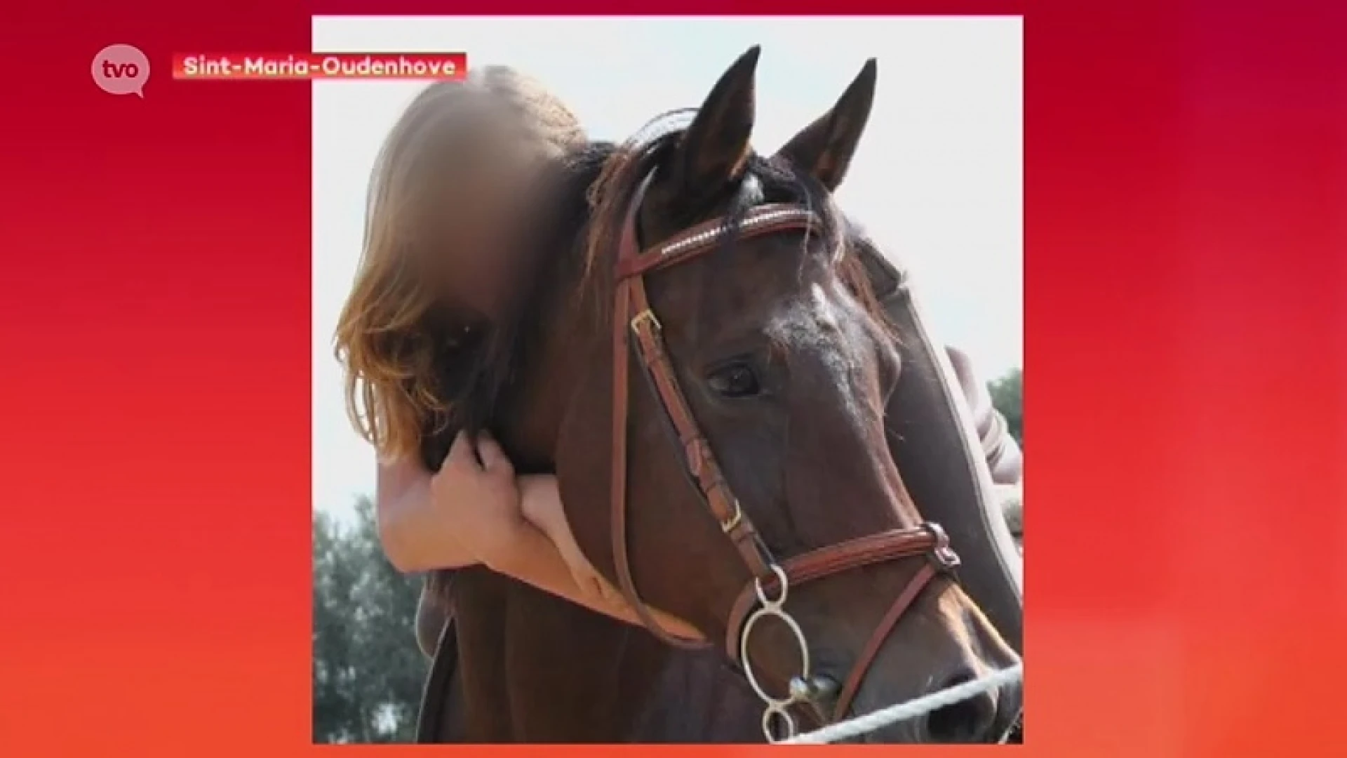 Advocate dochter B&B-uitbaters: "Ze vindt troost bij haar paarden"