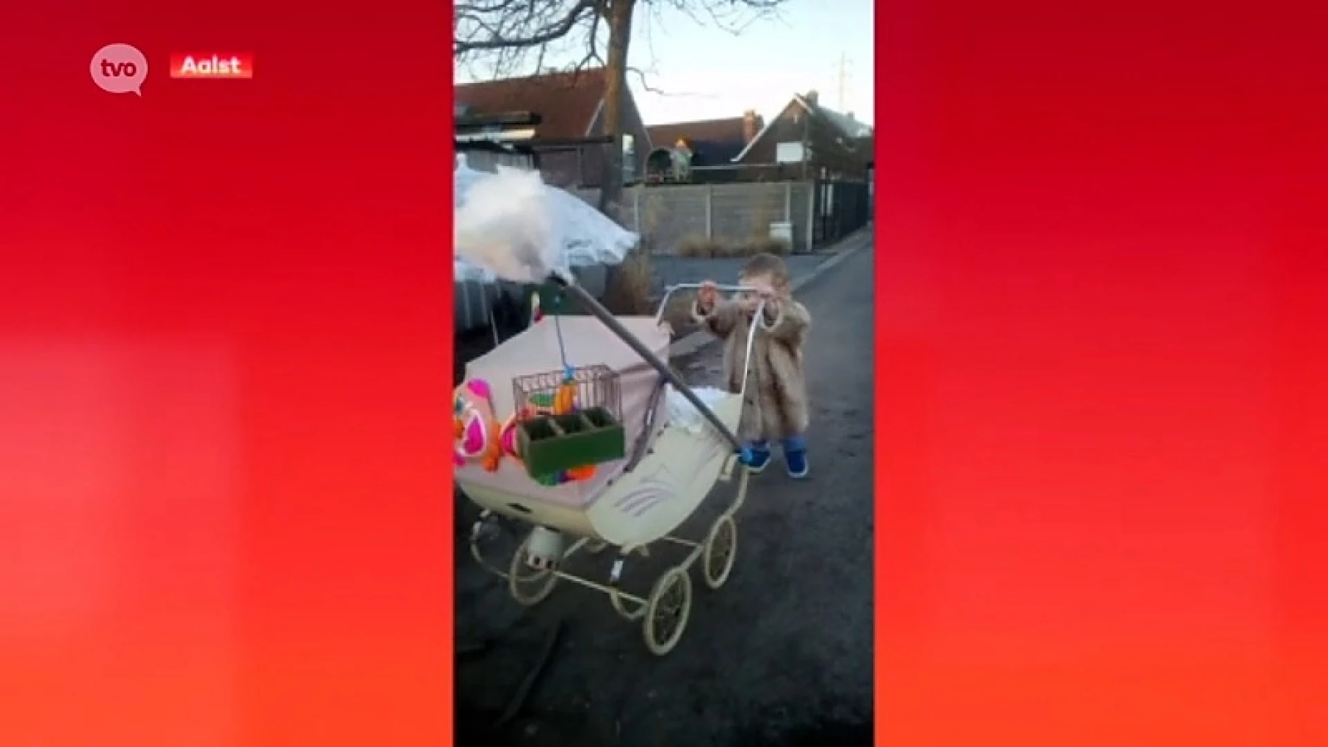 Hoofdafbeelding voor artikel Aalst Carnaval met de paplepel…