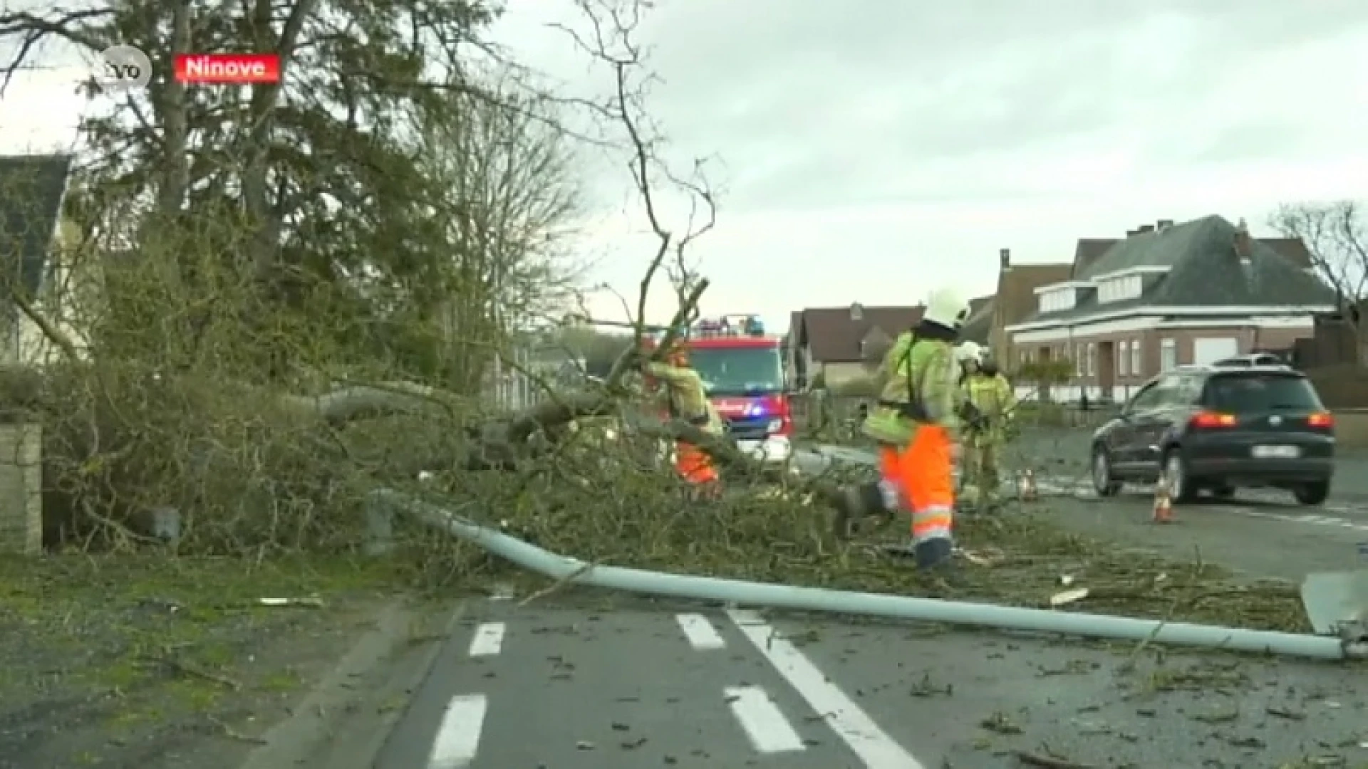 Wind blaast boom op rijdende auto