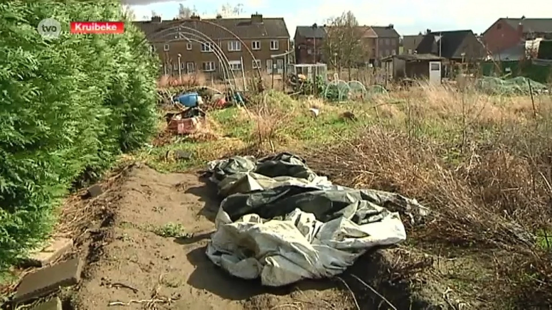 Volkstuintjes in Kruibeke moeten na 80 jaar verdwijnen