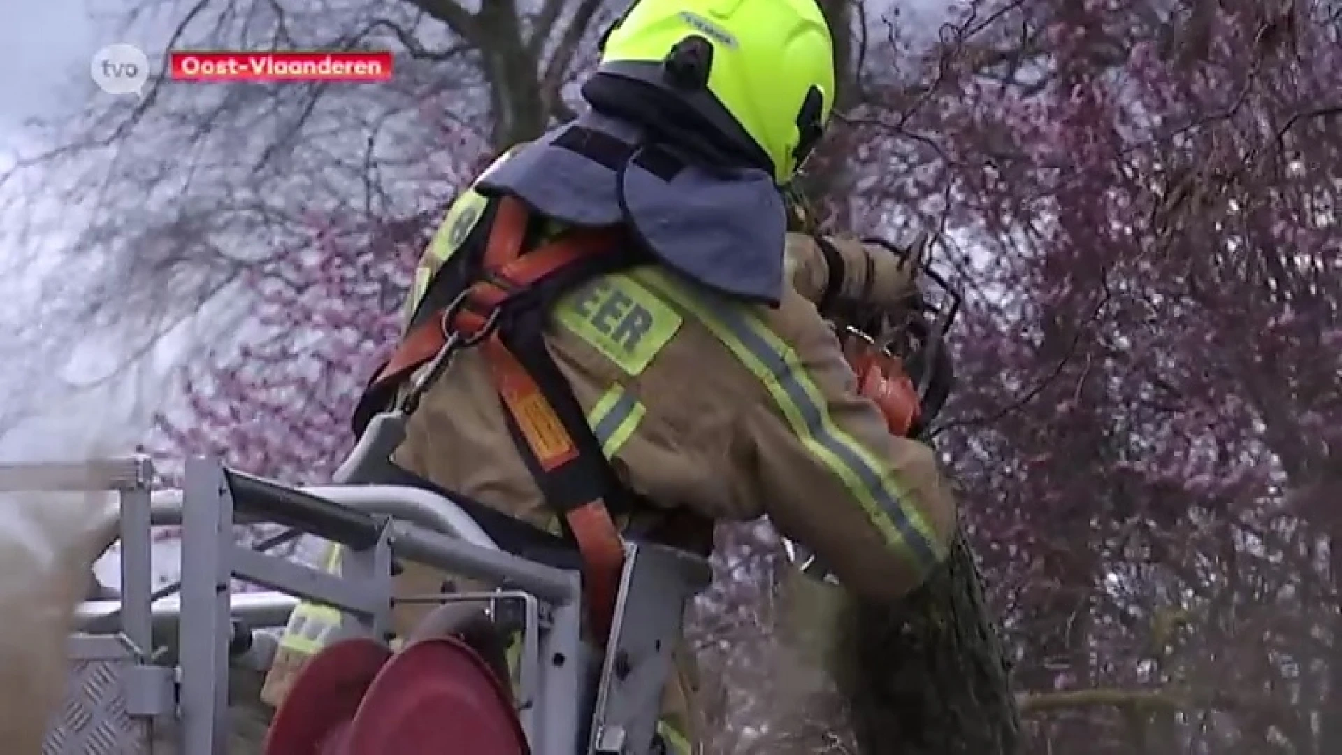 Hoofdafbeelding voor artikel Storm is gaan liggen, maar…