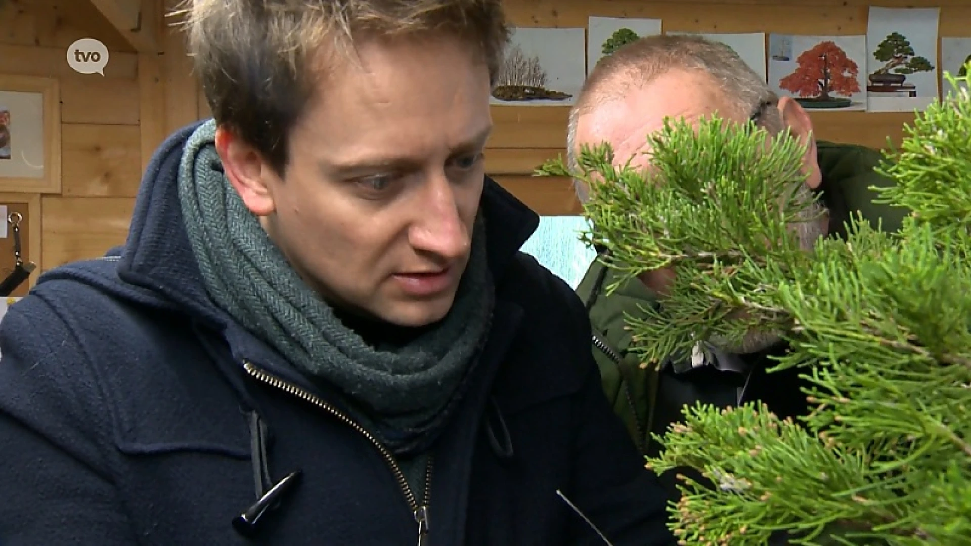 In De Buurt - Bonsai workshop