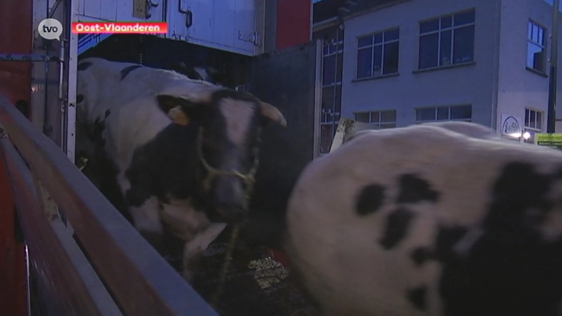 Appel- en perenteelt en rundveehouders erkend als sectoren in crisis