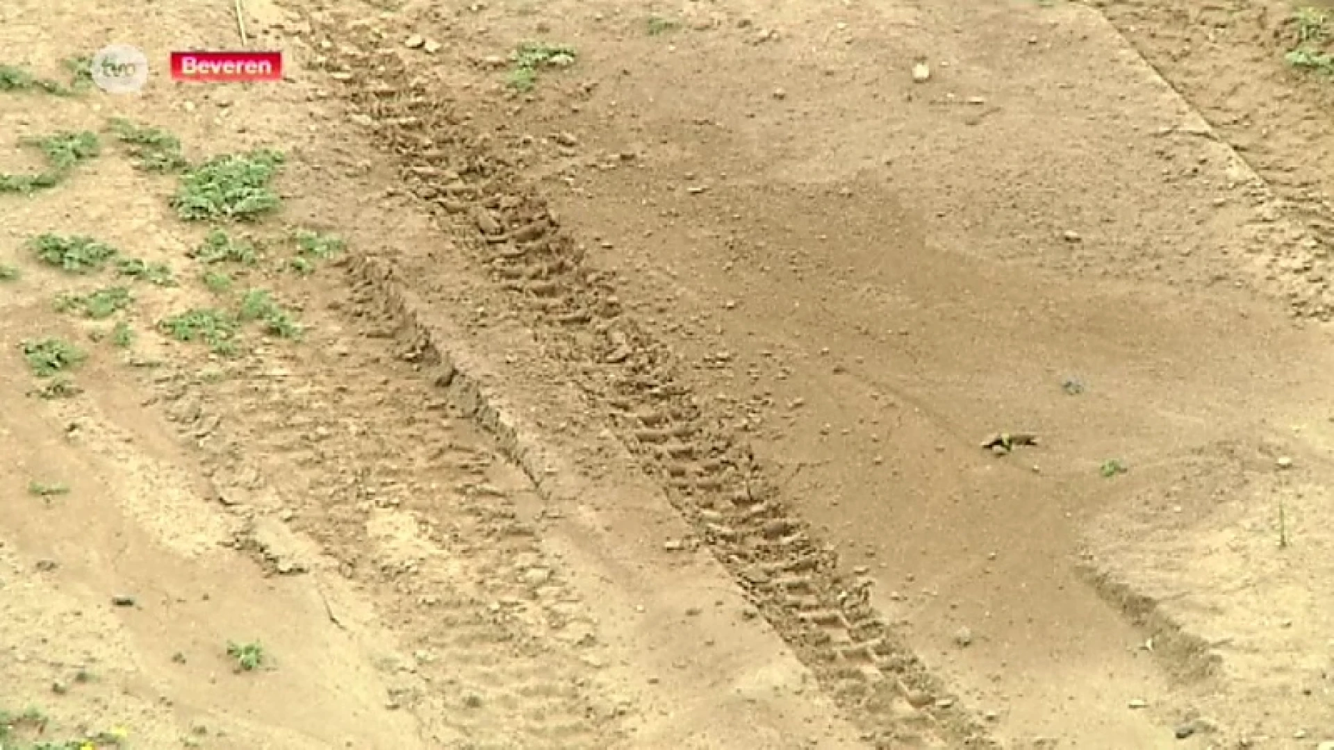 Waaslandhaven: Motorcrossers op heterdaad betrapt in natuurgebied