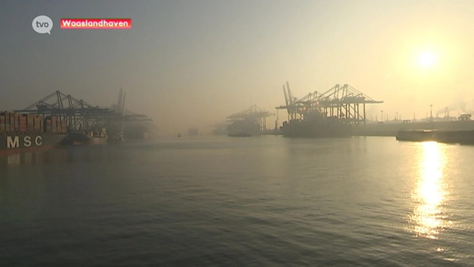 Waaslandhaven blijft groeien, nood aan extra containercapaciteit wordt echt groot