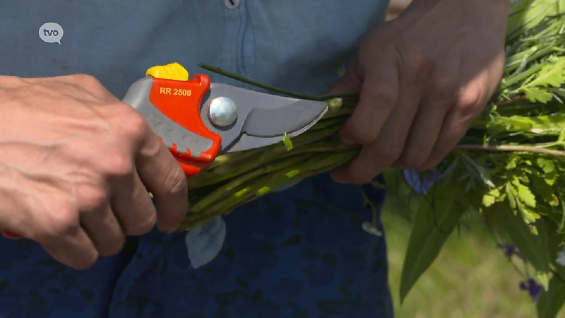 Hoofdafbeelding voor artikel Plattelandspret: Afl. 13 2019