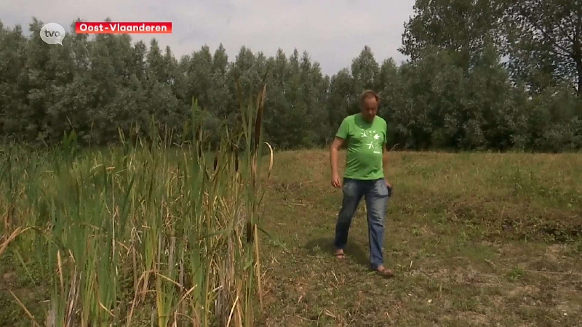 Droge poelen problematisch voor visbestand en voortplanting amfibieën