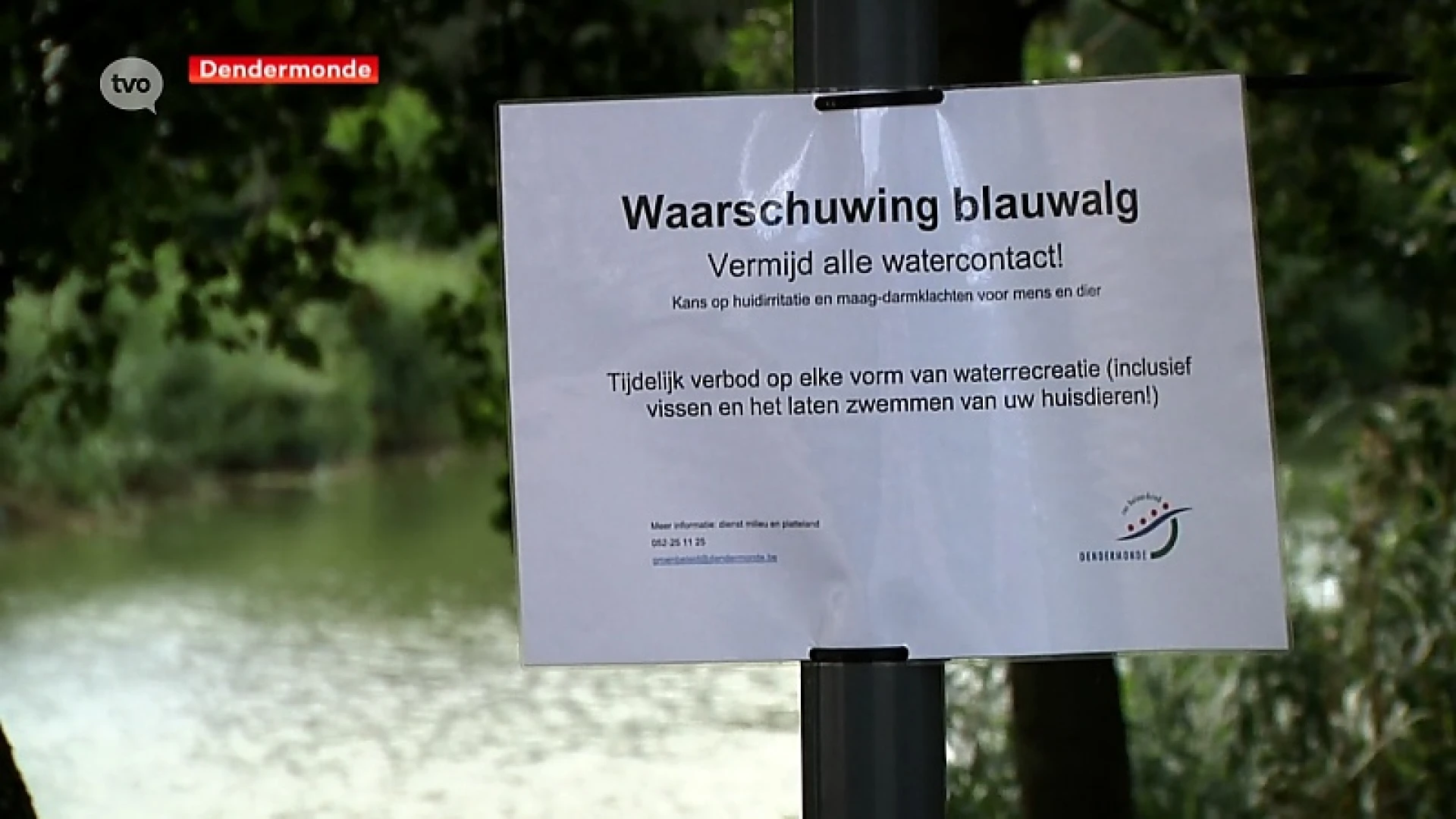 Dendermondse binnenwateren geteisterd door blauwalg
