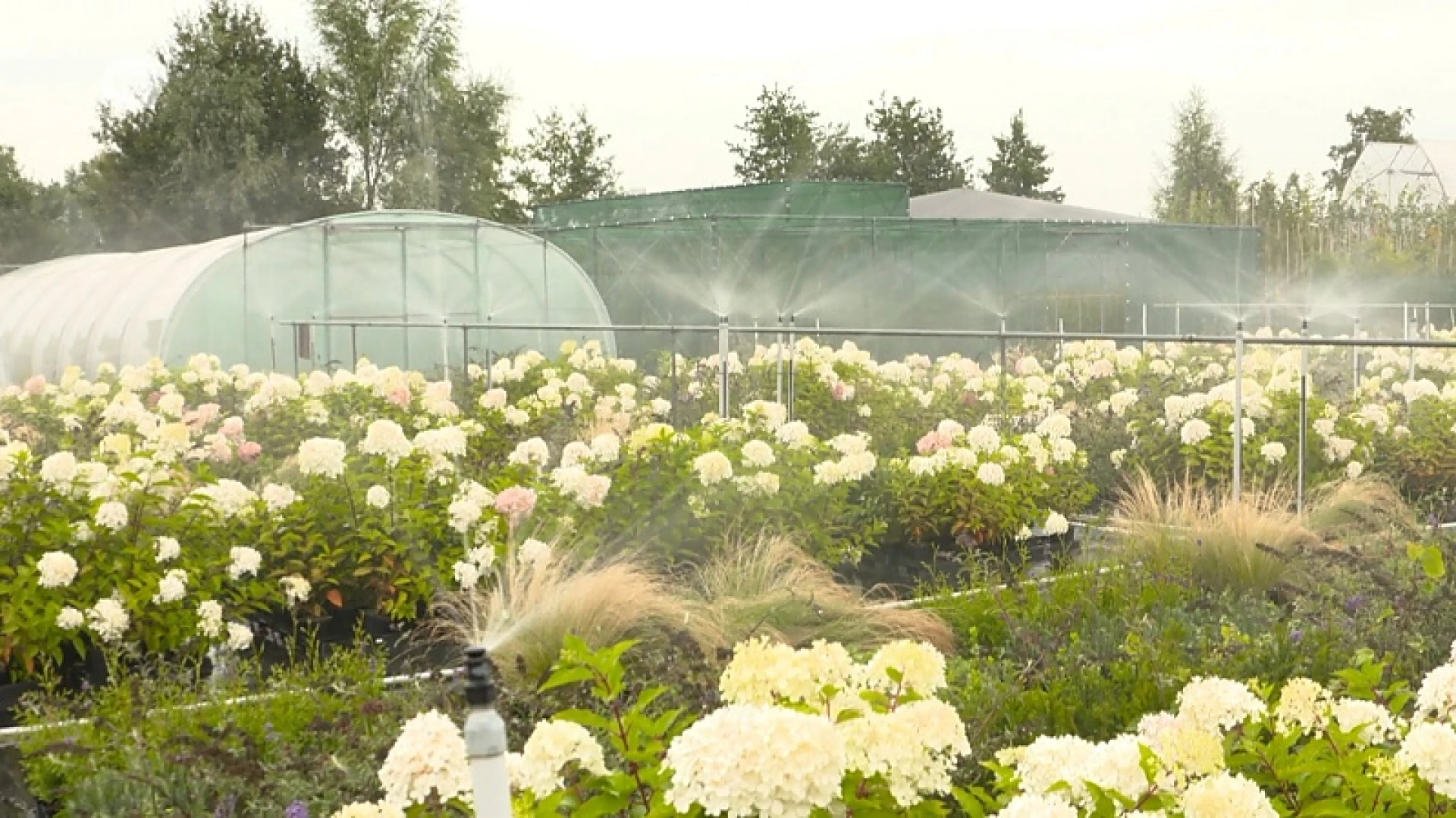 Hoofdafbeelding voor artikel Plattelandspret: Afl. 19 2019