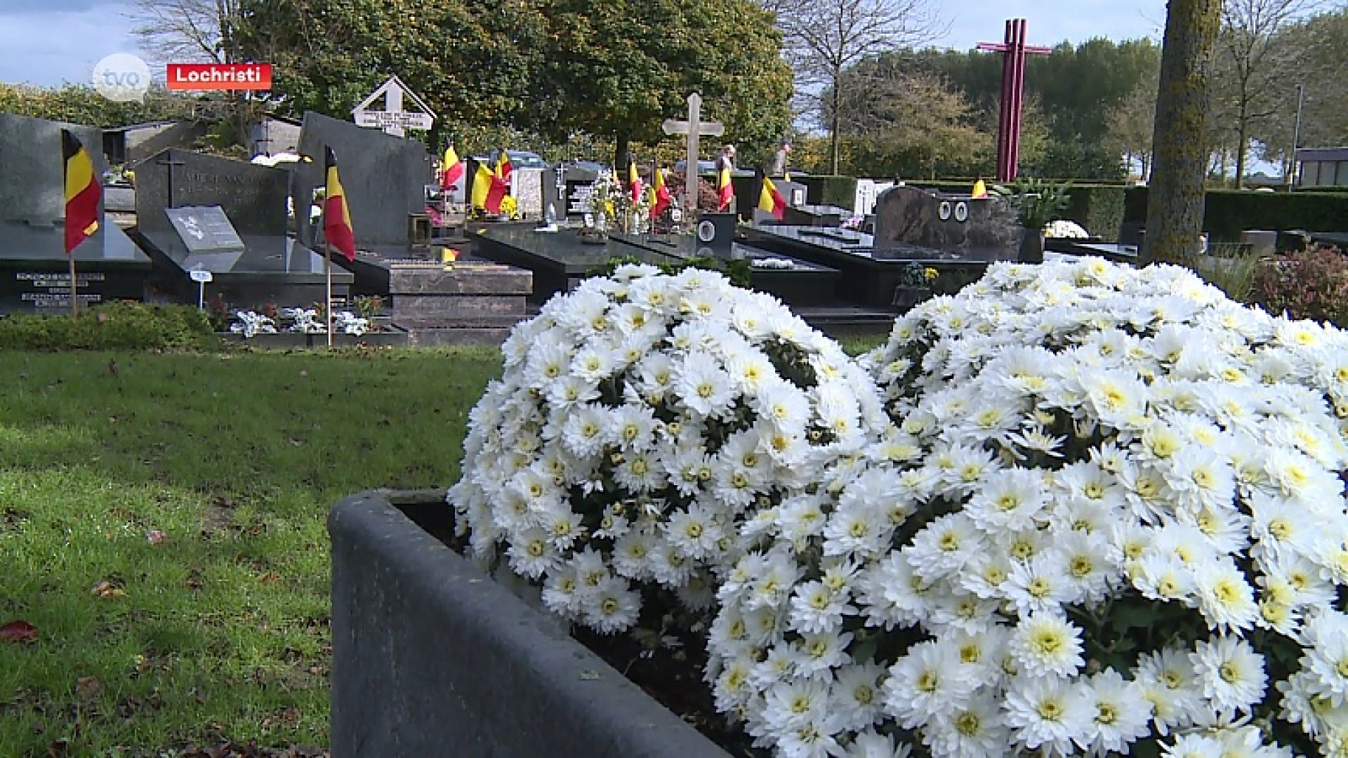 Hoofdafbeelding voor artikel Chrysantenkwekers maken zich…