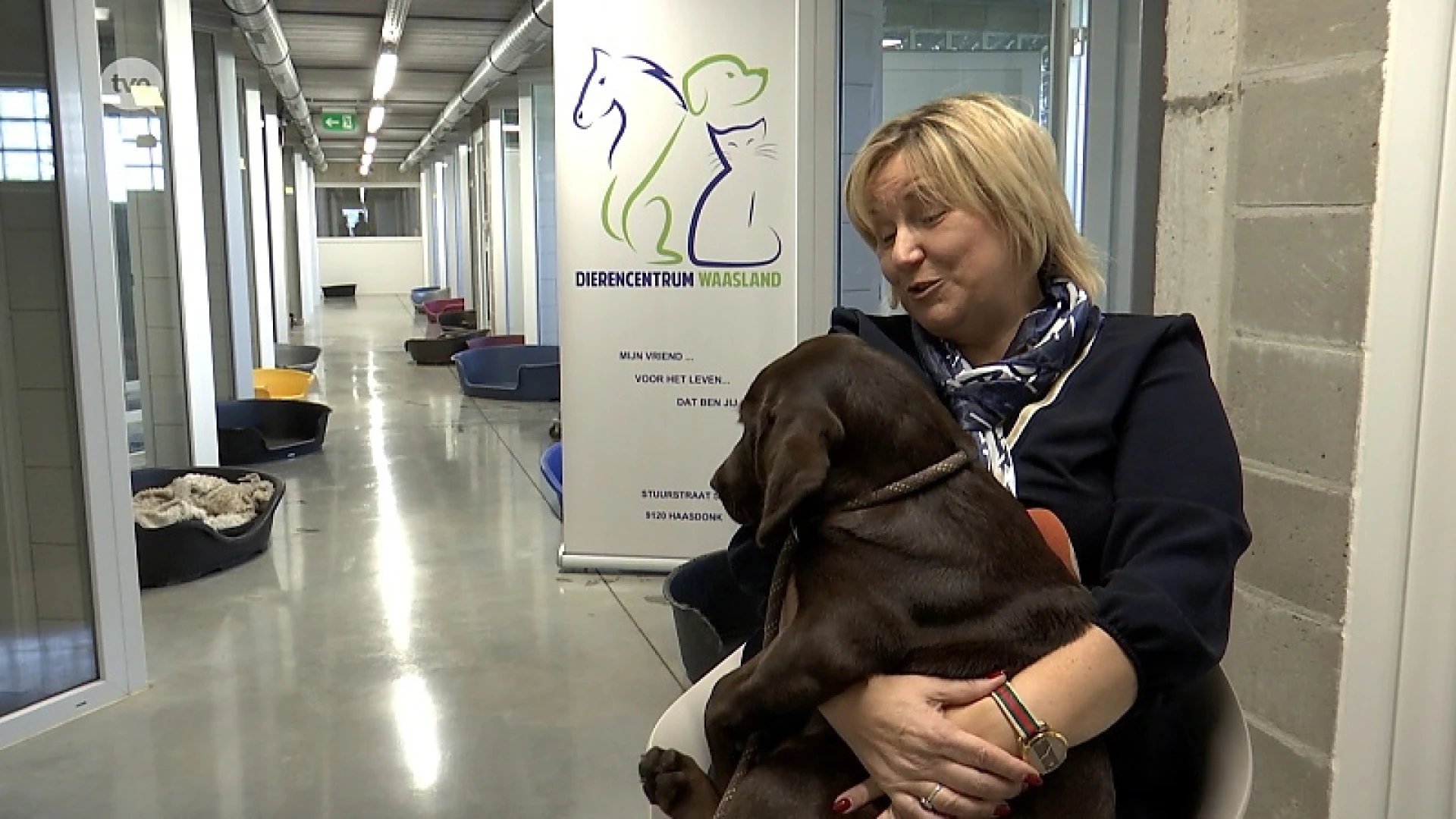 Dierencentrum Waasland: 'Geef elkaar alsjeblieft geen dieren cadeau'