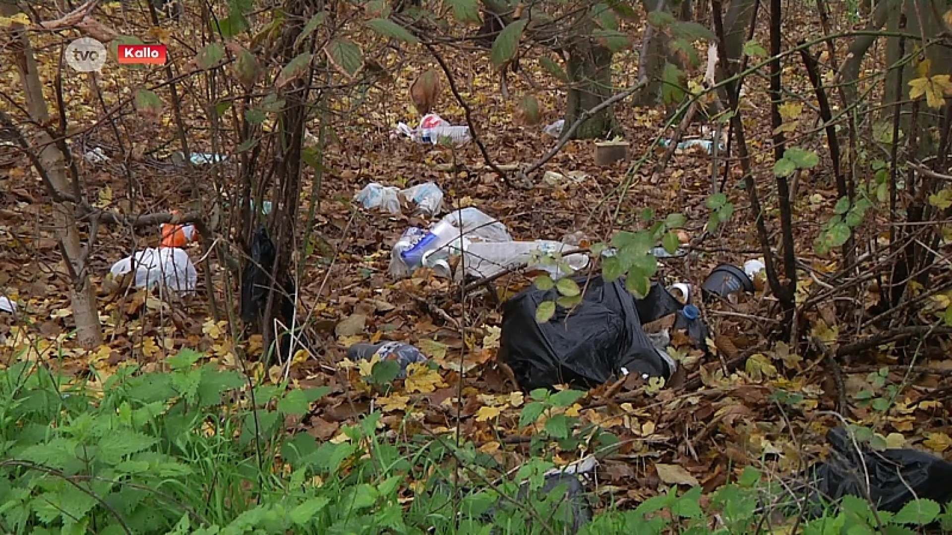 Hoofdafbeelding voor artikel Truckparking Waaslandhaven…