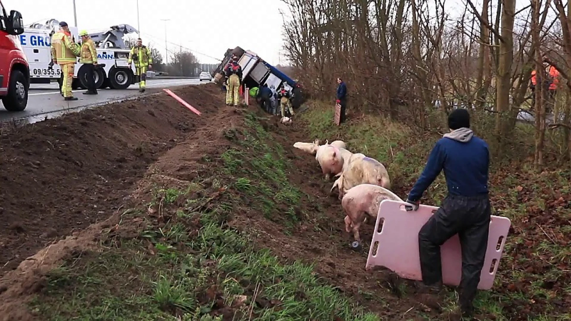 TV Oost Nieuws van maandag 23/12/2019
