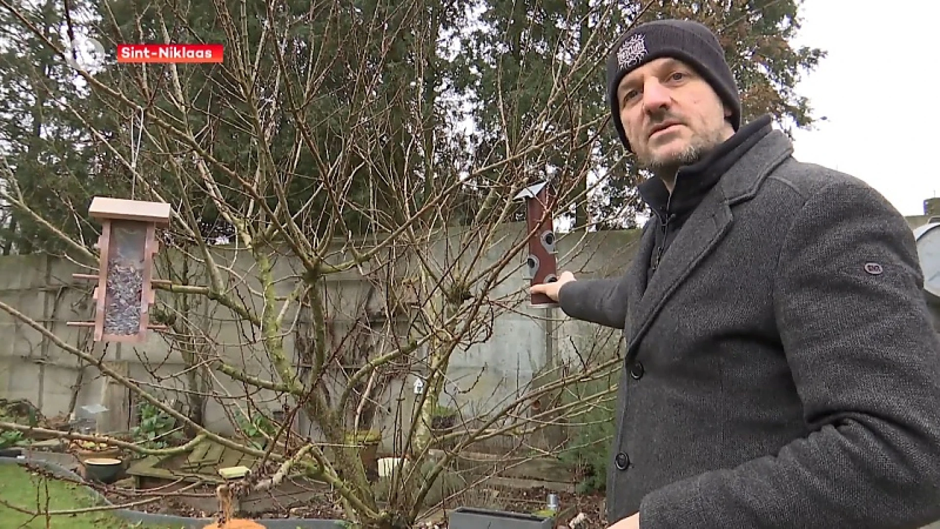 Sint-Niklazenaar Begijn Le Bleu is het gezicht van Het Grote Vogelweekend
