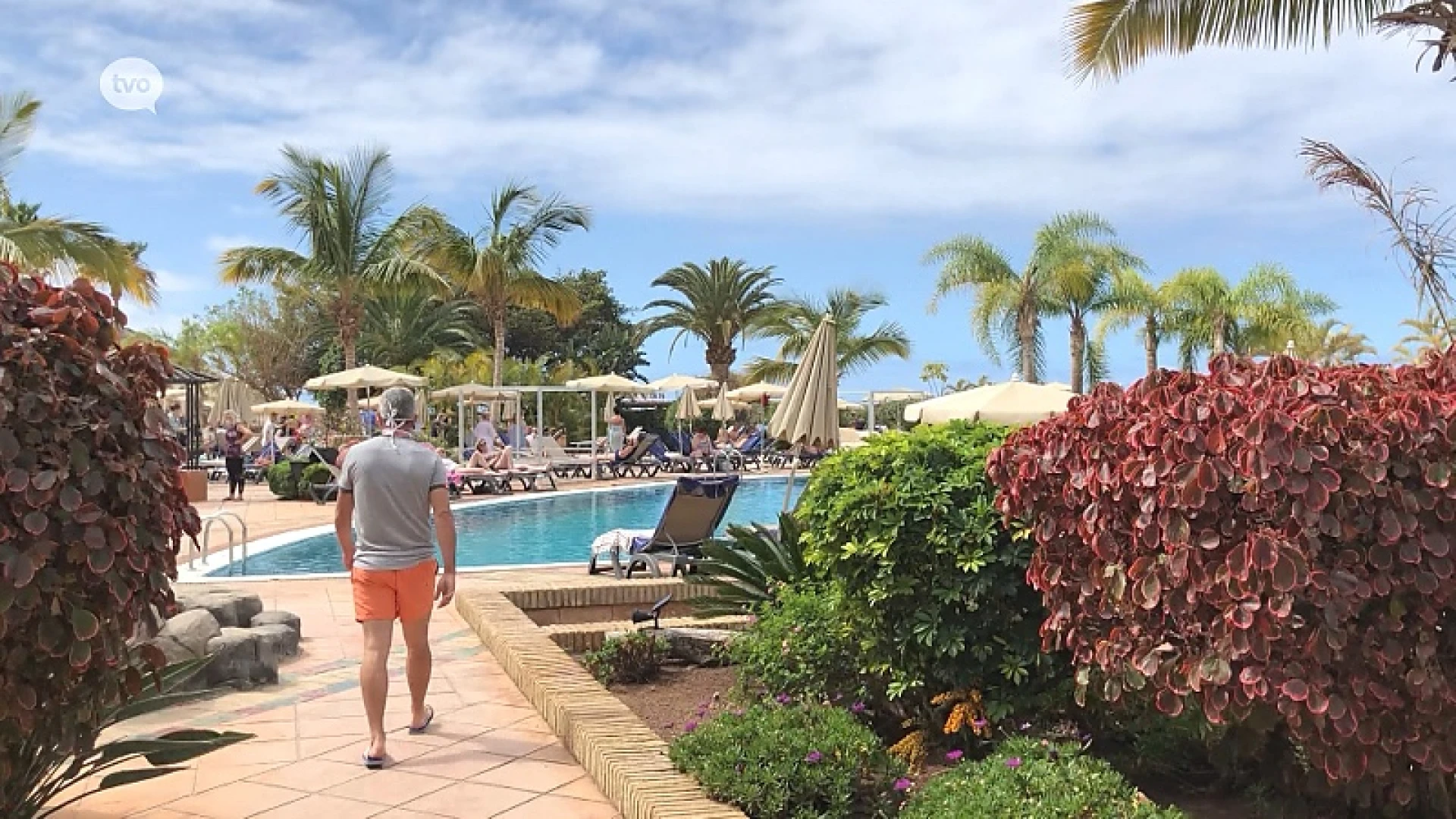 Ook dierenarts uit Lokeren vast in Tenerife, praktijk noodgedwongen dicht