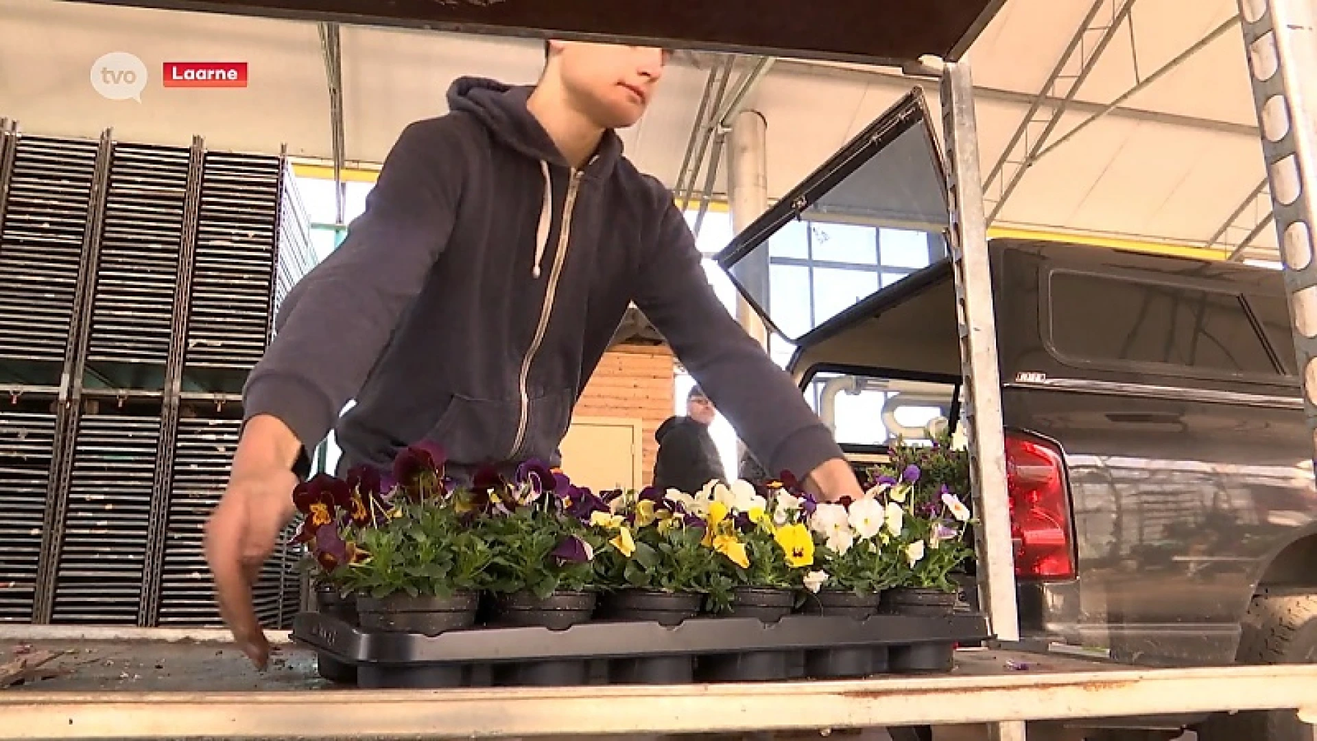 Coronavirus - Bloemen- en plantenverkoper vindt markt in huis-aan-huisverkoop