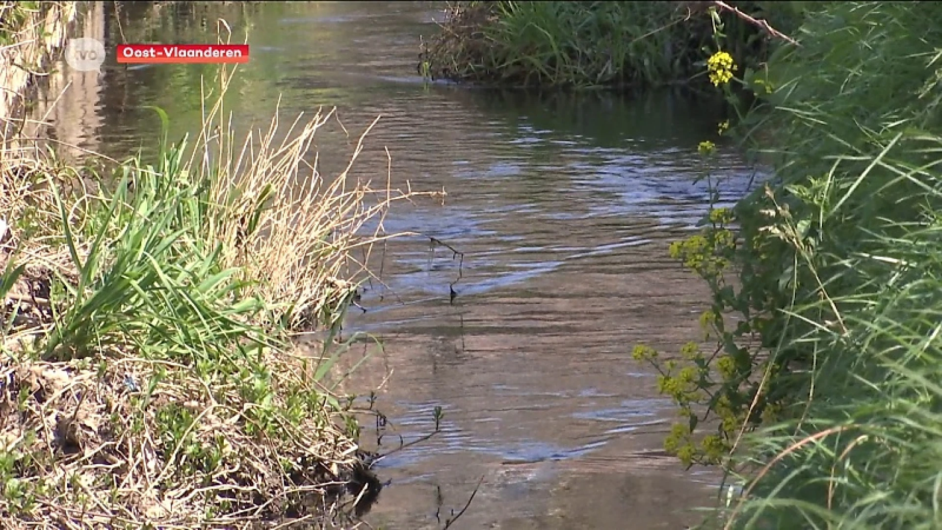 Grondwaterstanden bijzonder laag door droogte van voorbije weken