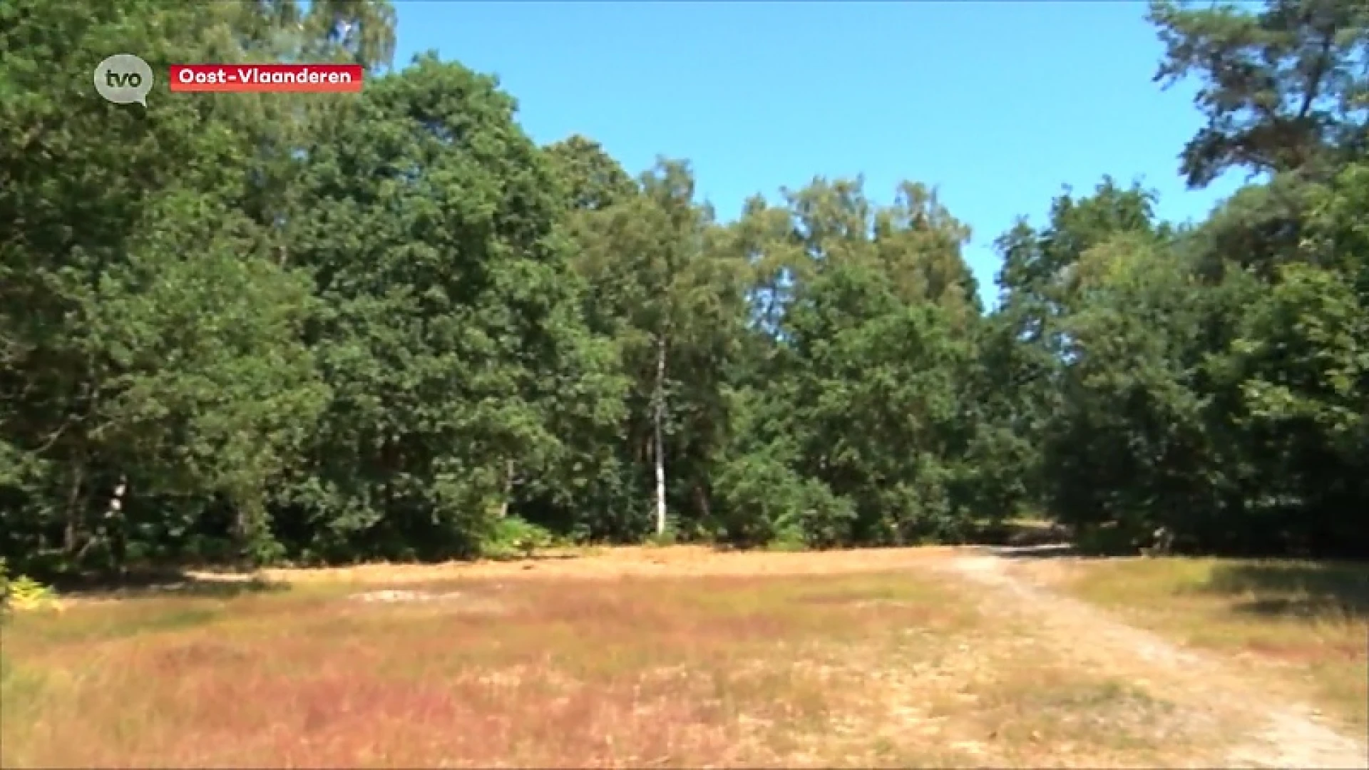 Hoofdafbeelding voor artikel Code geel voor brandgevaar…