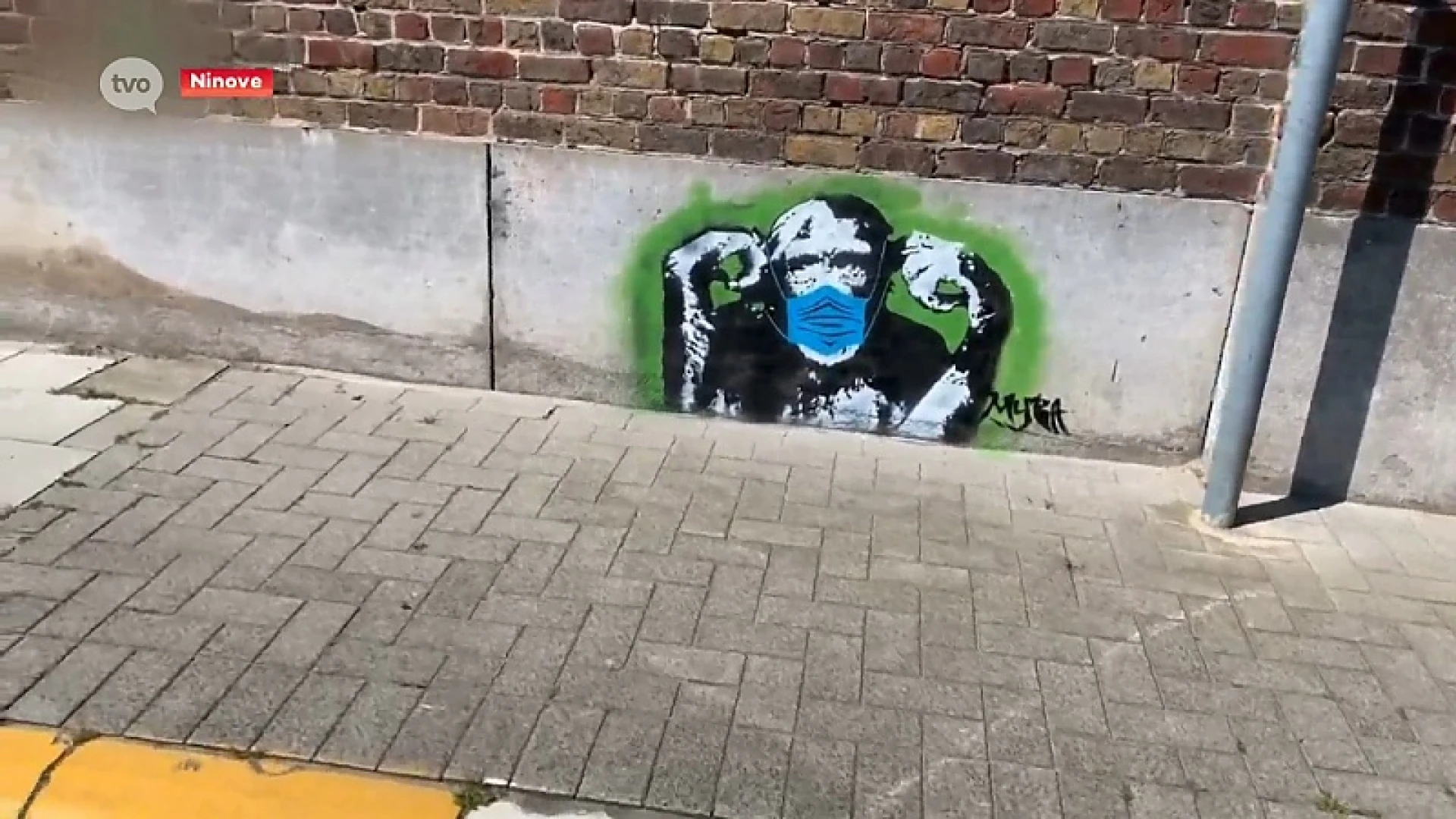 Ninove heeft eigen Banksy en tekent overal dieren met mondmaskers