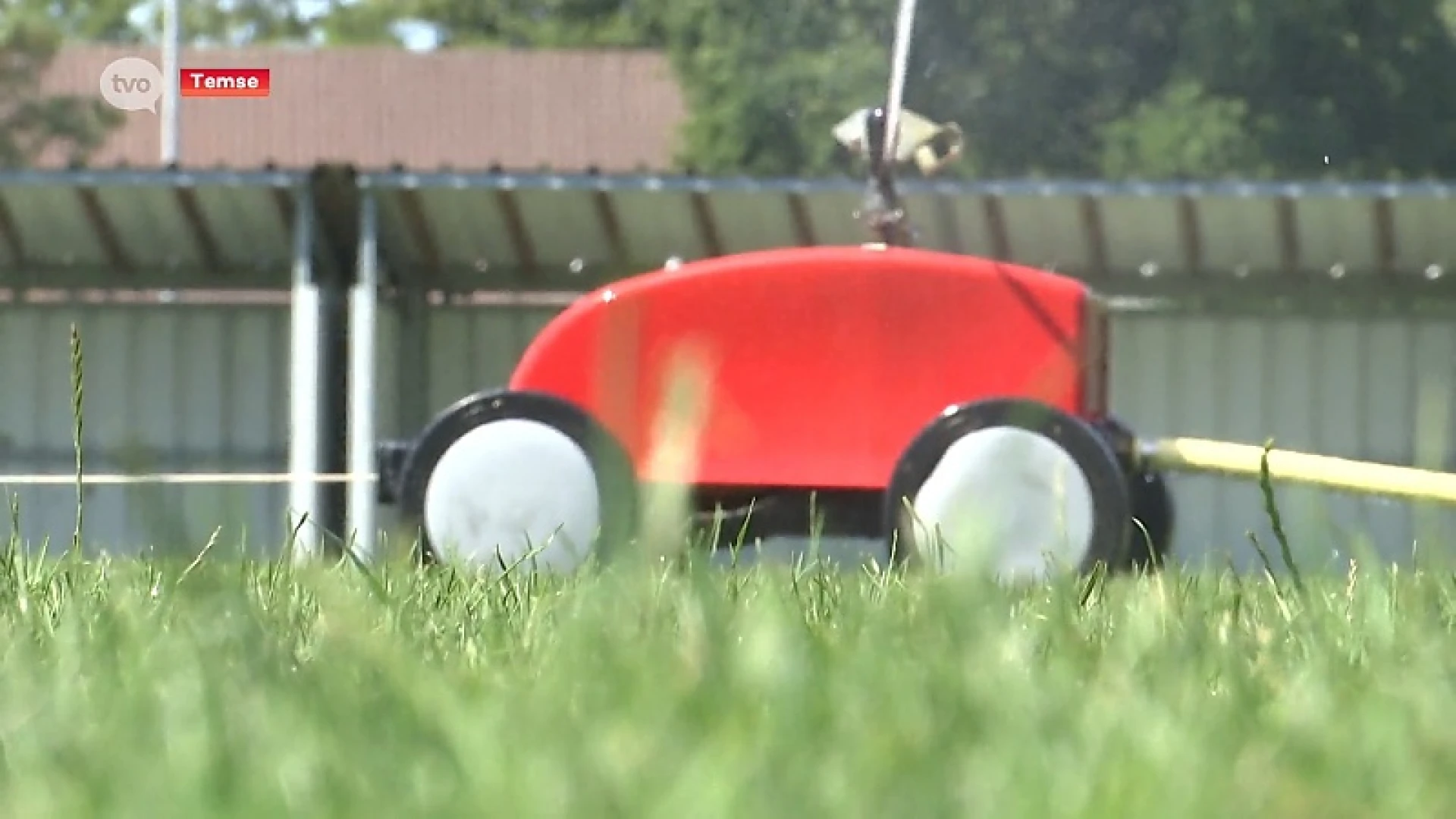 Spaarzaam met water? Temse sproeit er al weken op los op ongebruikte voetbalvelden