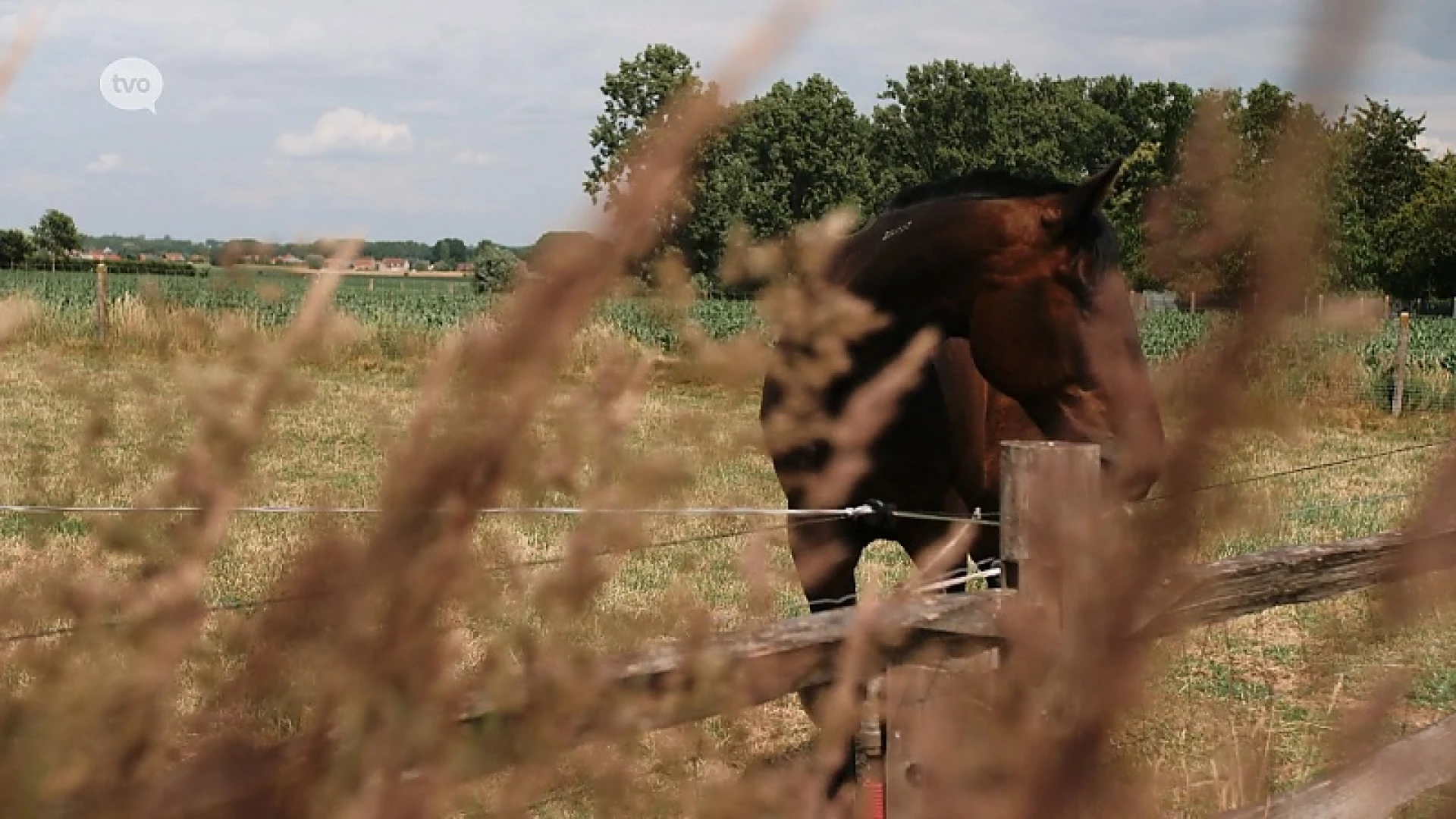 Zomertip - Overnachten in de Vlaamse Ardennen