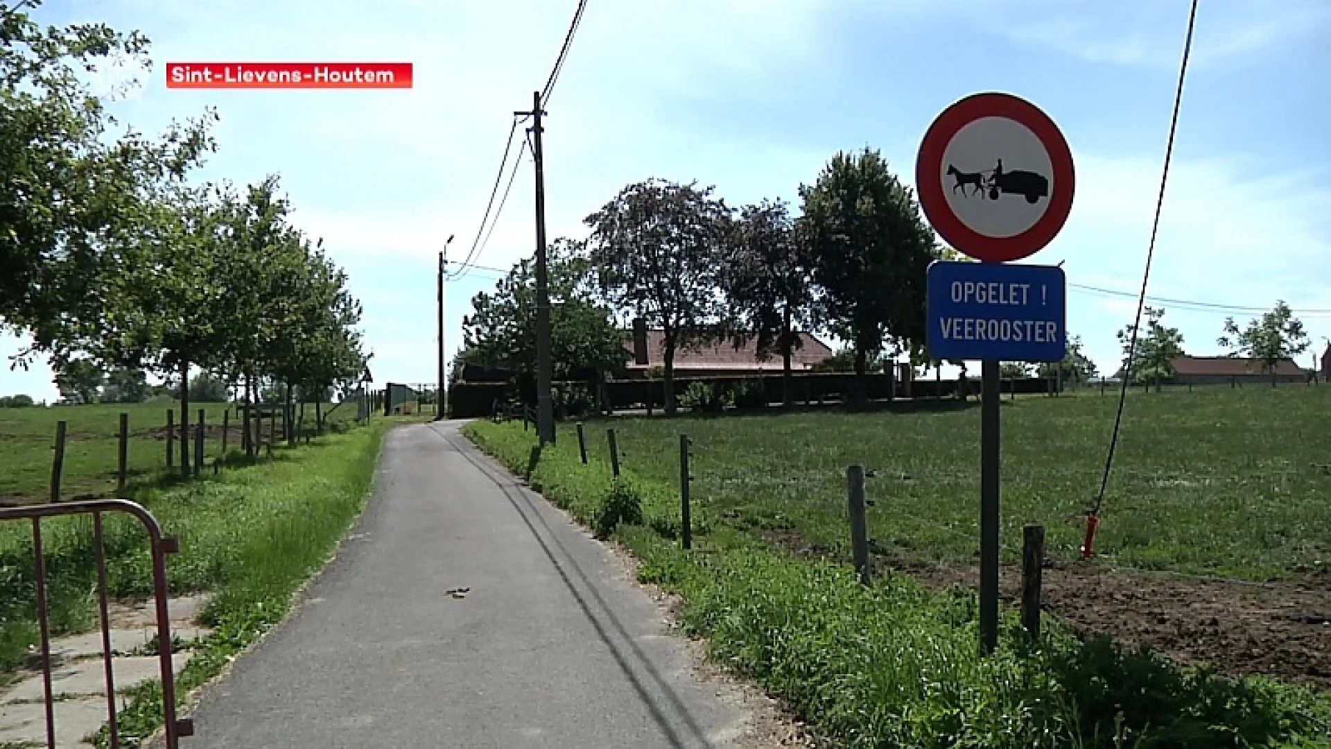 Drama nadat paarden vastraken in veerooster tijdens tocht in Sint-Lievens-Houtem