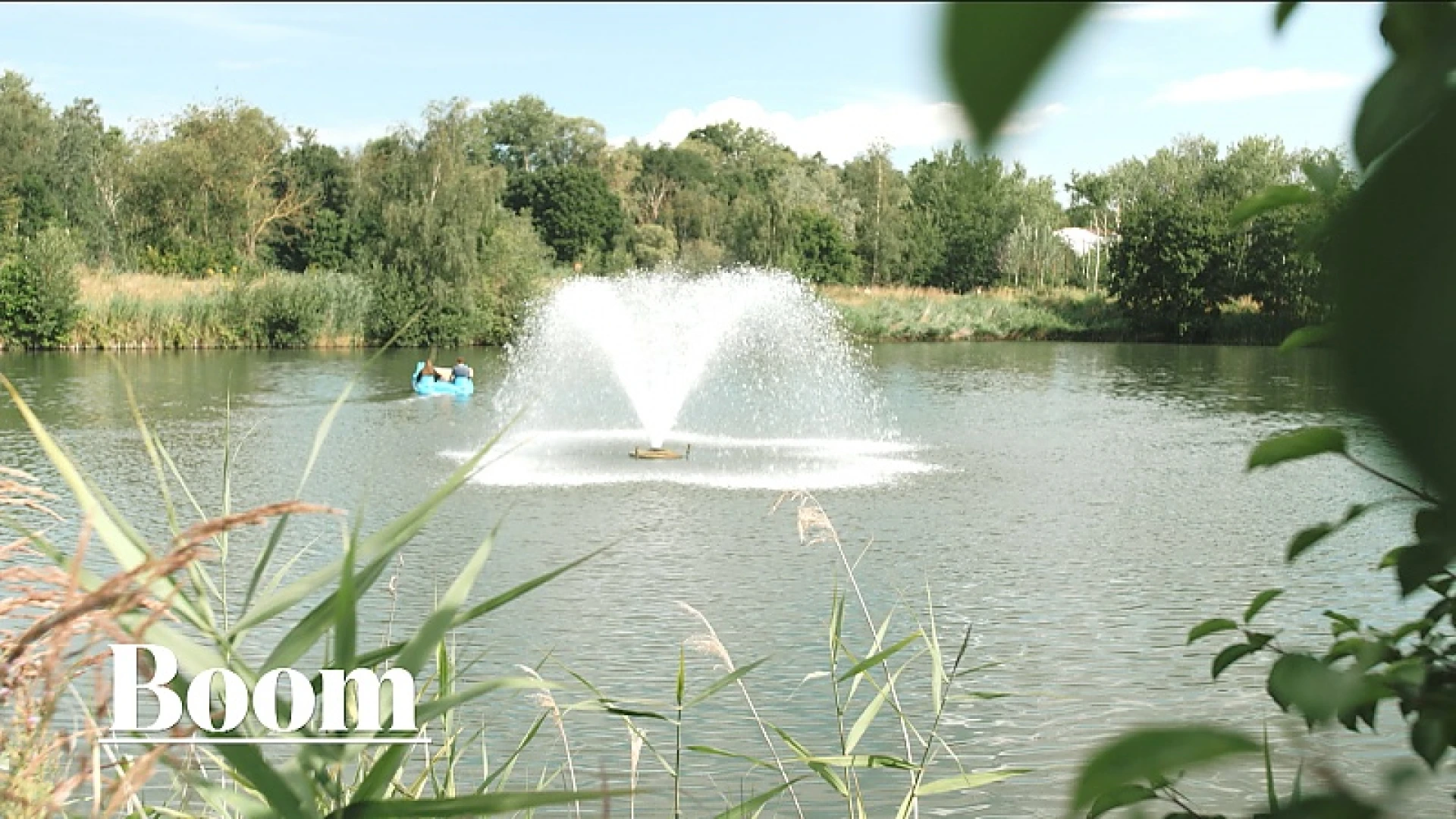 Zomertip - De Schorre Boom