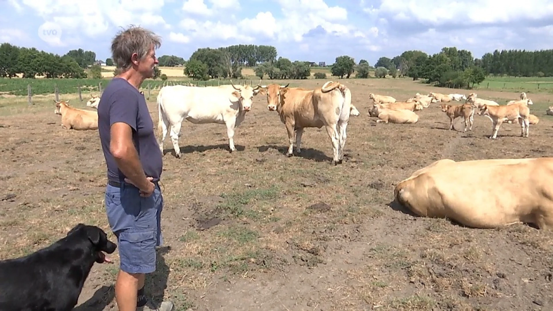 Captatieverbod Oost-Vlaanderen zet heel wat boeren zonder waterreserves