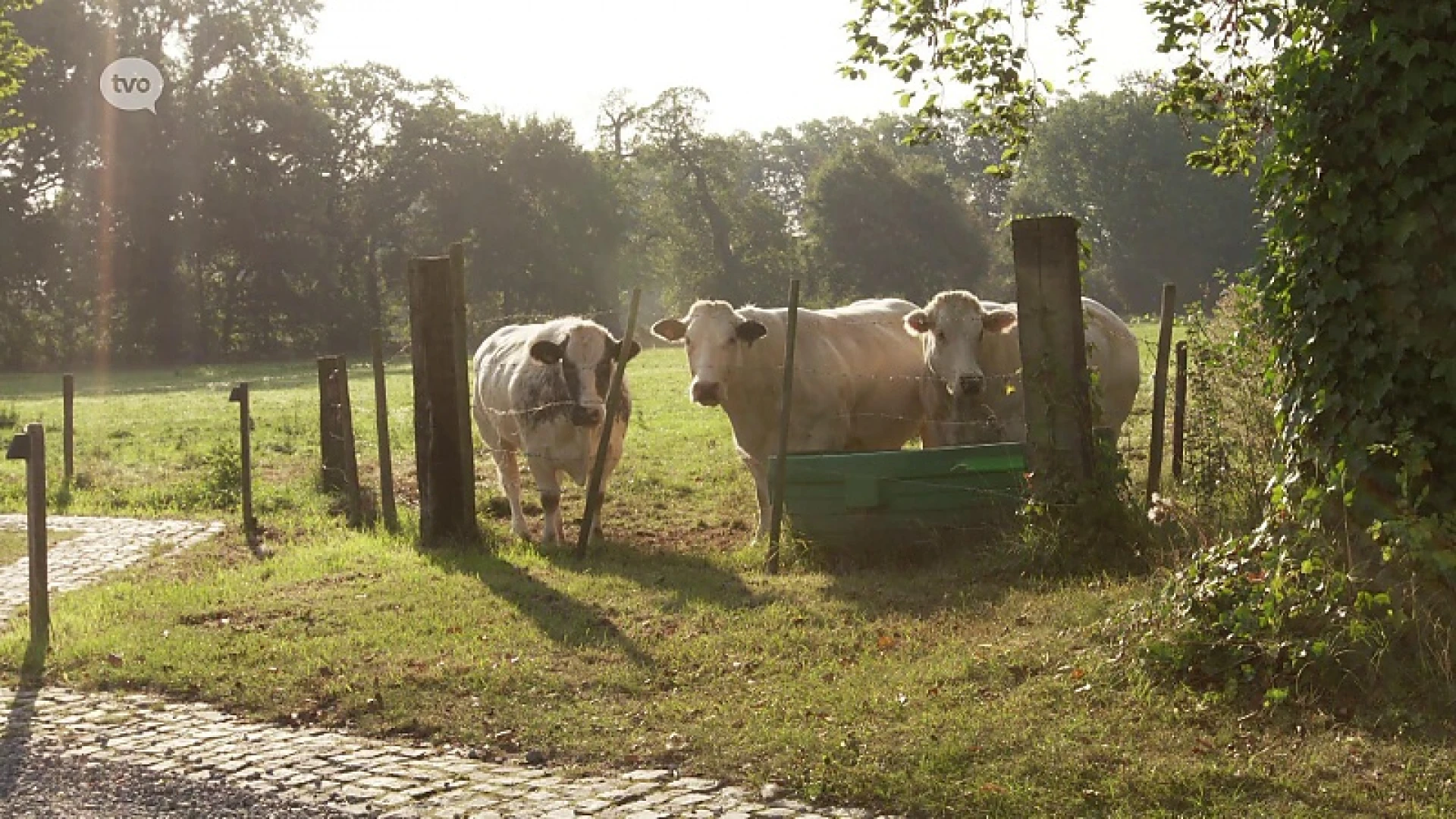 Wonen : zaterdag 26 september