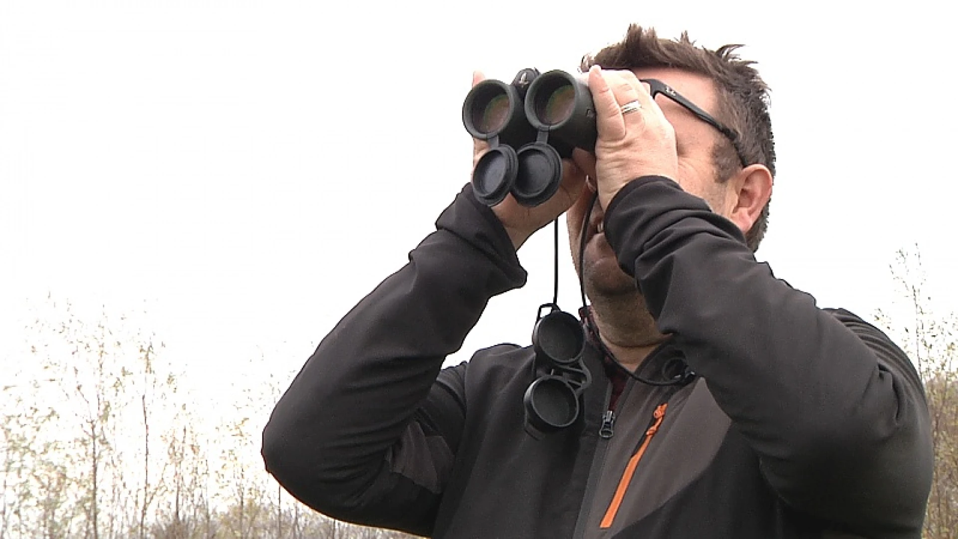 Weidevogels hebben duurzame toekomst in Kalkense meersen