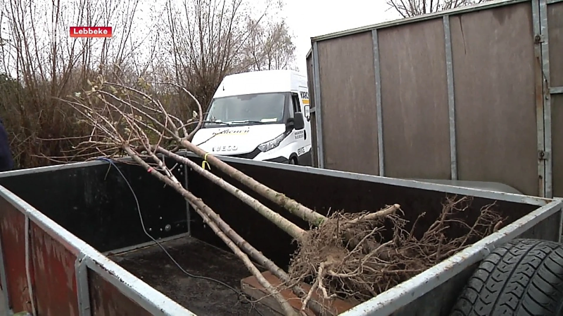 Groepsaankoop voor bomen moet Lebbeke groener maken