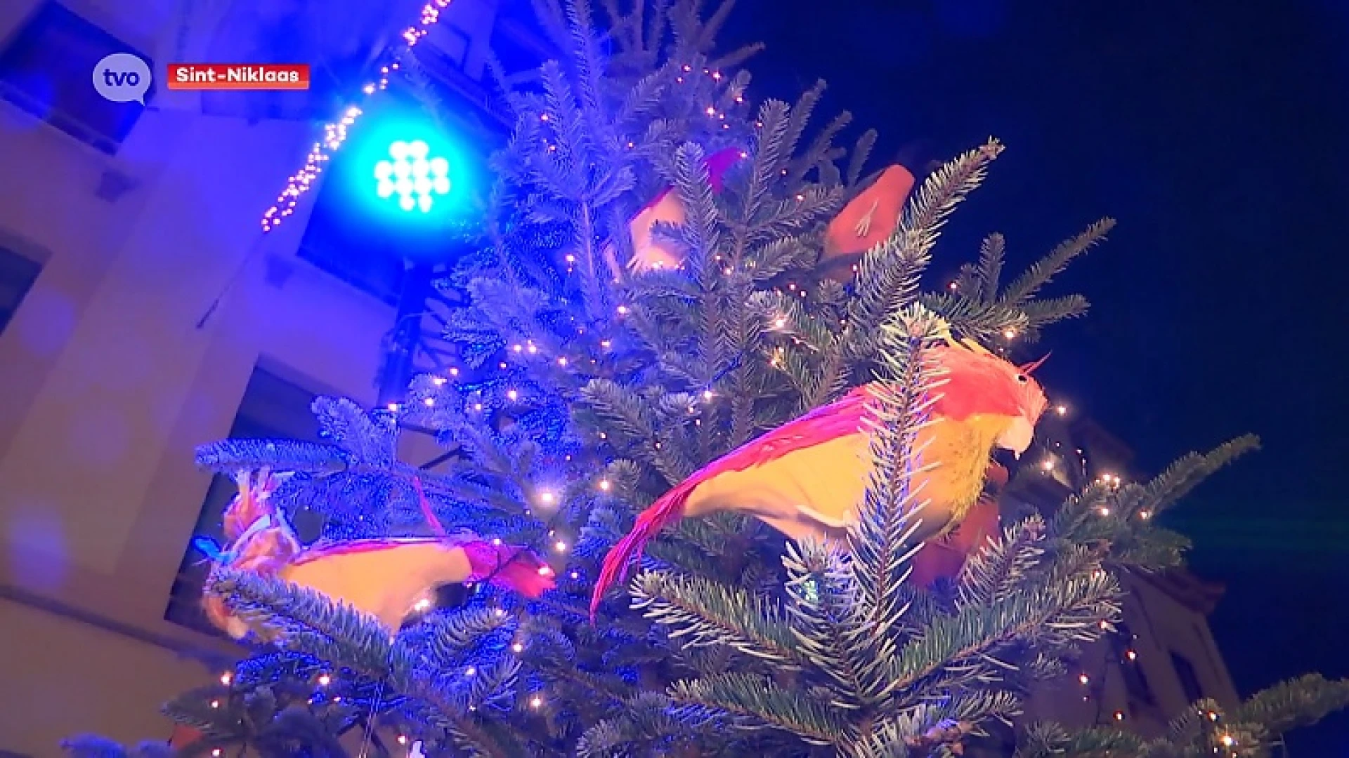 Geniet van volkse verhalen tijdens de winterwandeling in Sint-Niklaas