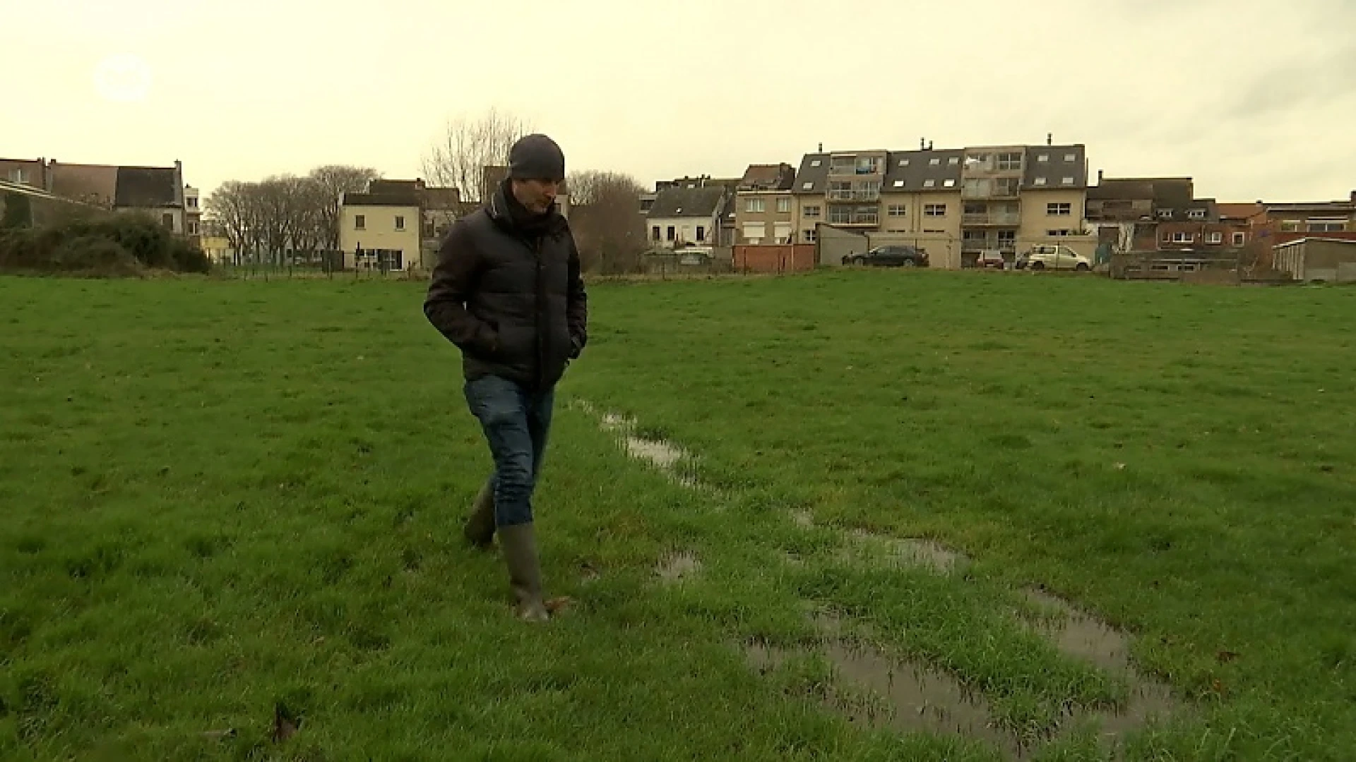 Ninove gaat mooi stukje natuur middenin stad creëren