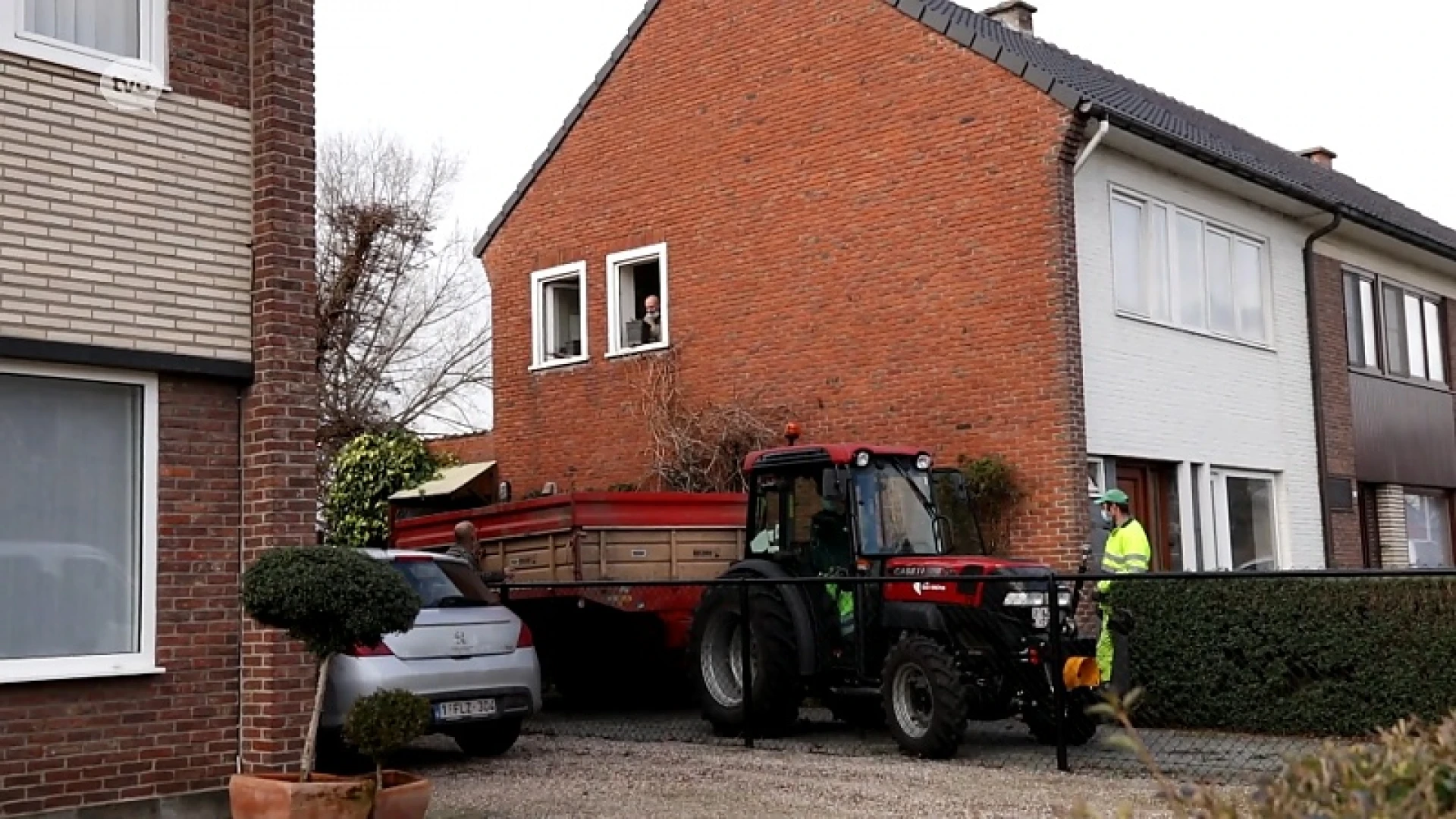 Cannabisplantage opgerold in Sint-Niklaas