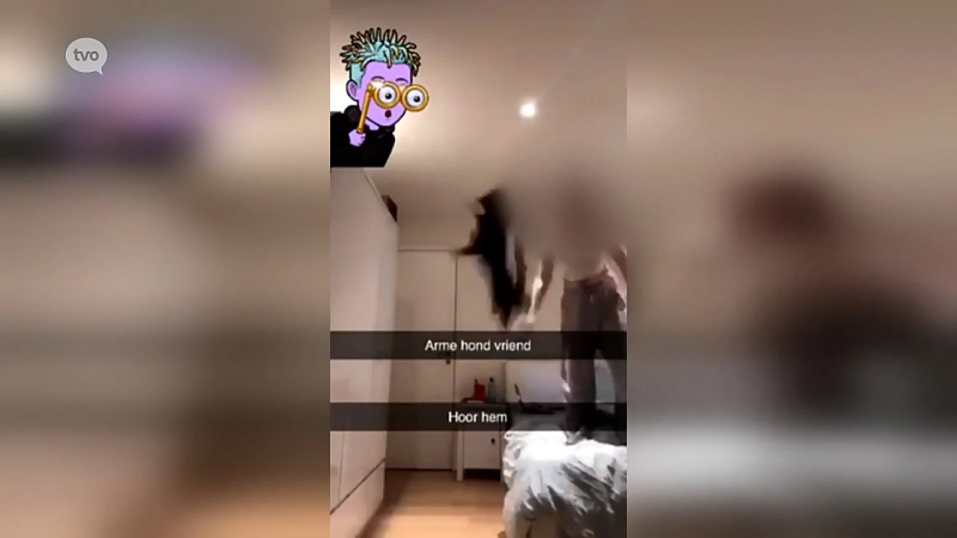 Meisje mishandelt hondje en deelt video op TikTok: "Die hond moet daar zo snel mogelijk weg"