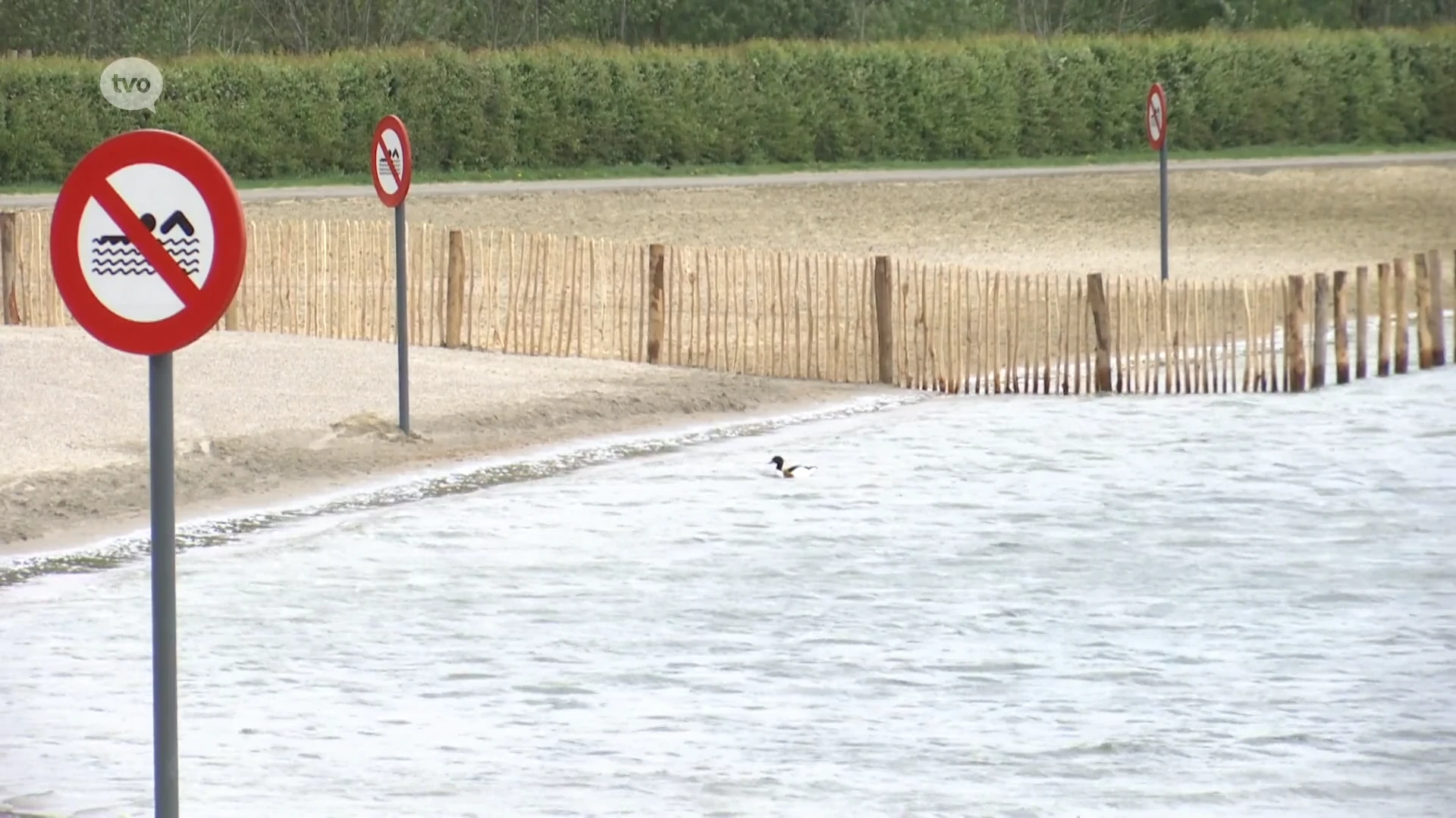 Zwemmen in De Ster of in Nieuwdonk? Op voorhand reserveren en niet langer gratis