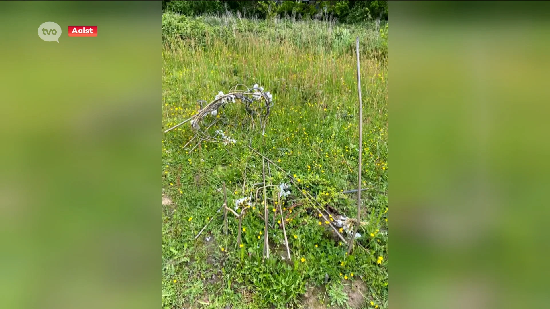 Standbeeld aan Rozekesbos vernield door vandalen