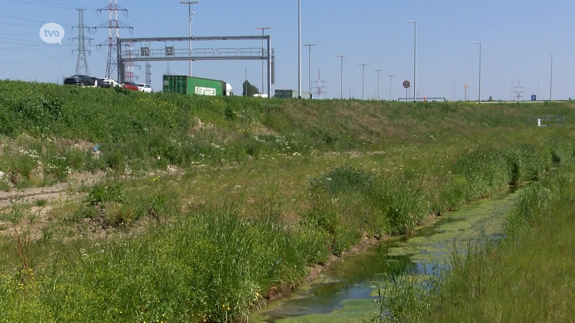 PFOS aangetroffen in Beveren: "Concentraties vele malen lager dan in Zwijndrecht"