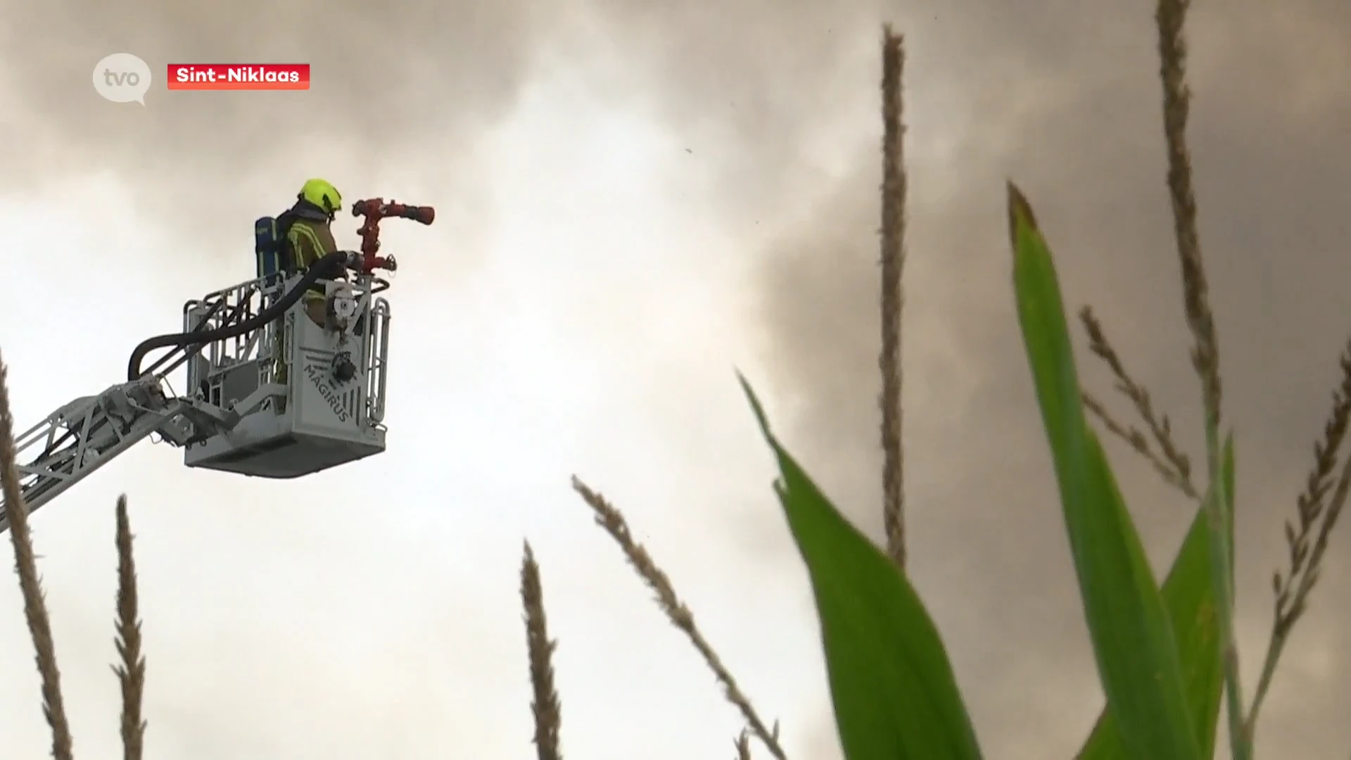 Hoofdafbeelding voor artikel Inferno legt kippenbedrijf…