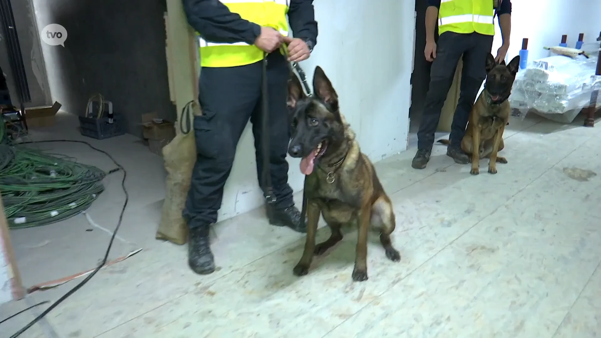 Nieuwe gevangenis Dendermonde geknipte locatie voor training van politiehonden